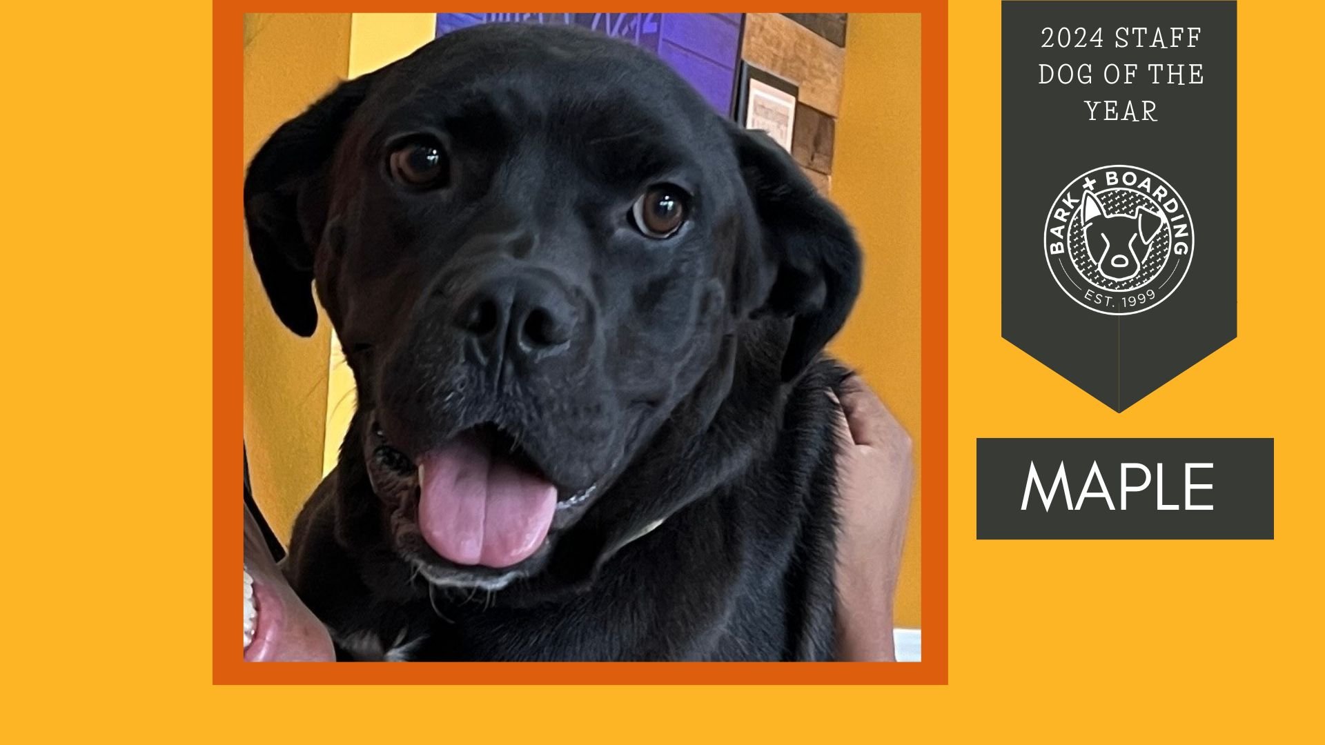 Top Dog of the Year (Presentation).jpg