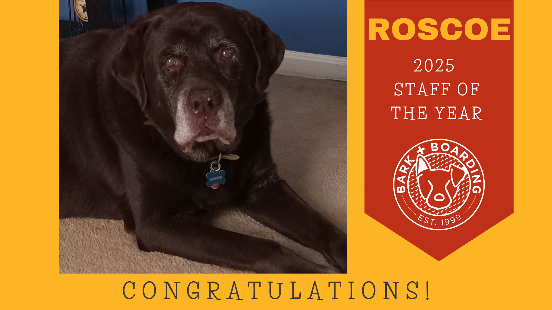 Top Dog of the Year (3).png