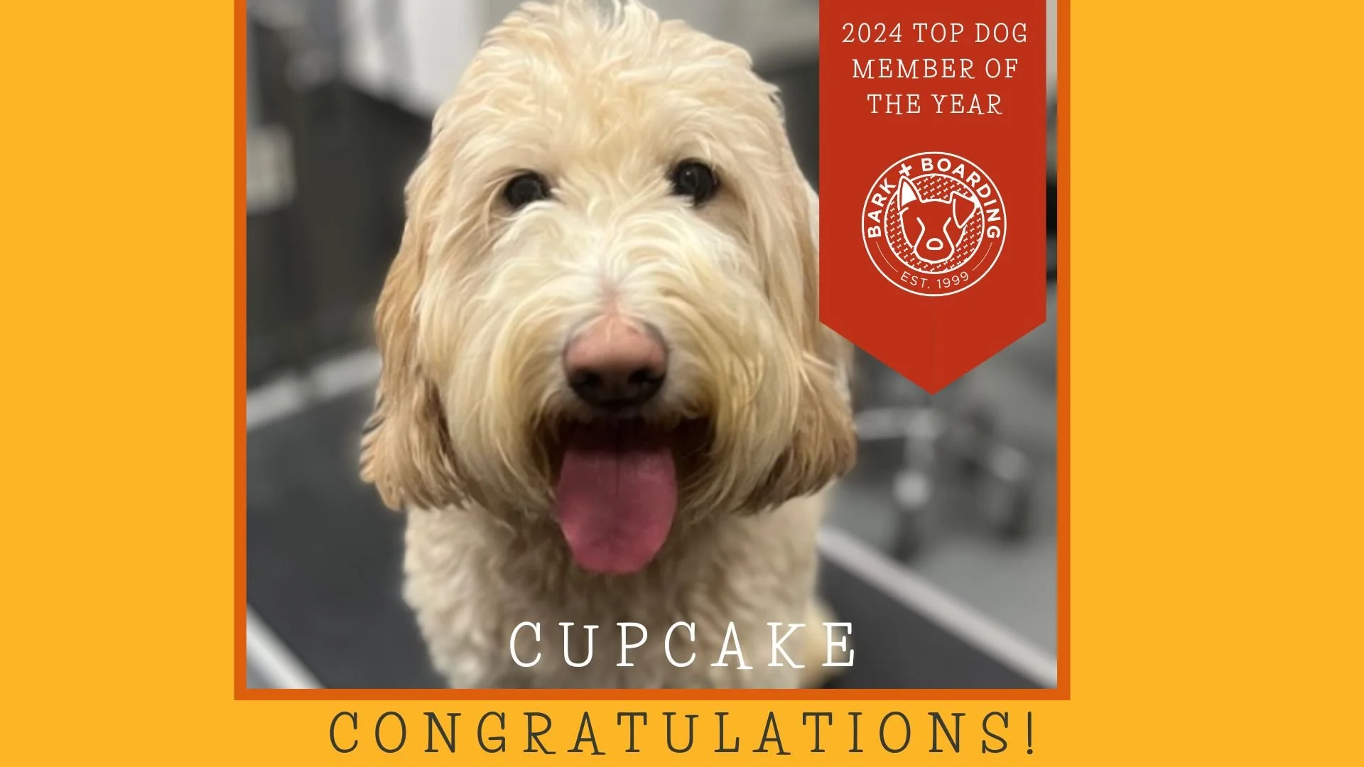 Top Dog of the Year (Presentation) (1).jpg