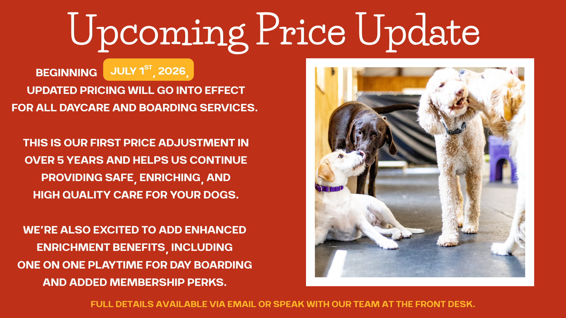 WEBSITE PROMOS (15).png