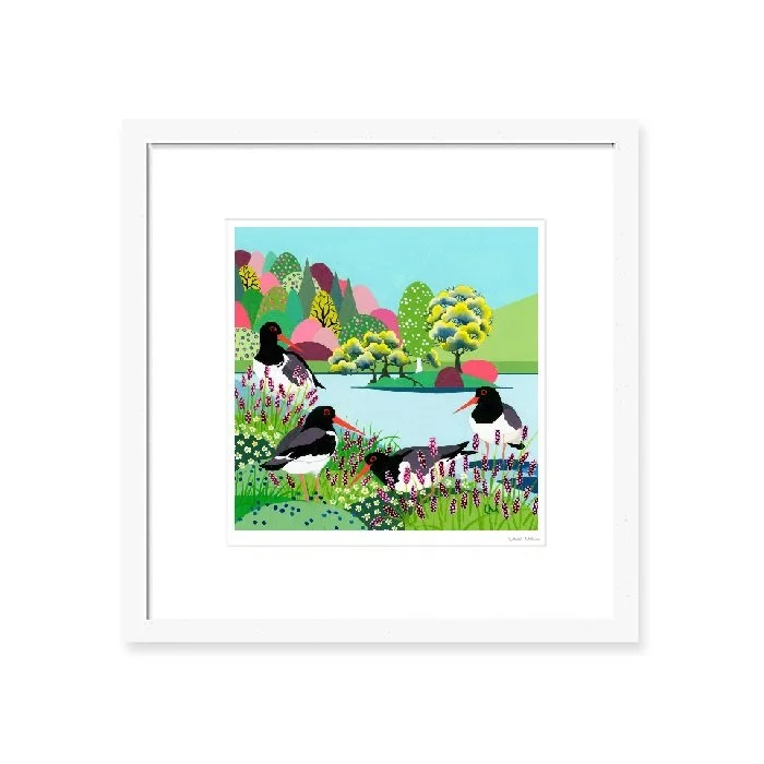 Oystercatcher_WFrame.jpg