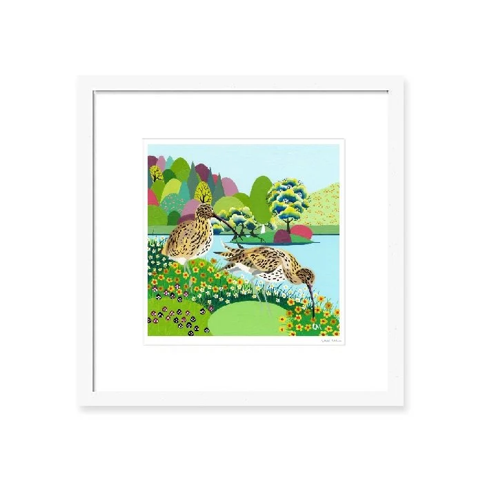 Curlew_WFrame.jpg