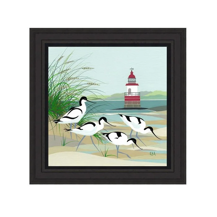 Avocets_EmbBlFrame.jpg