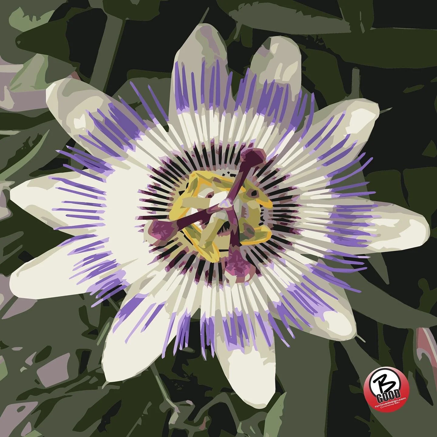 Flower #2

2nd in my series on individual flowers. Swipe left to see a close up!
This flower was CRAZY and beautiful. A whole lot going on in this flower and image. This was fun!

#digitalcreations, #digitalart, #illustrator, #illustratorart, #create