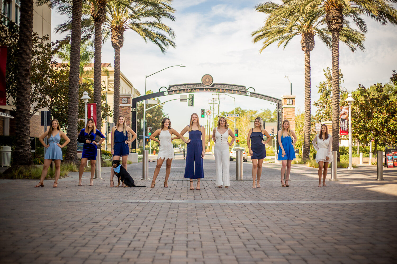 piphi web-25.jpg