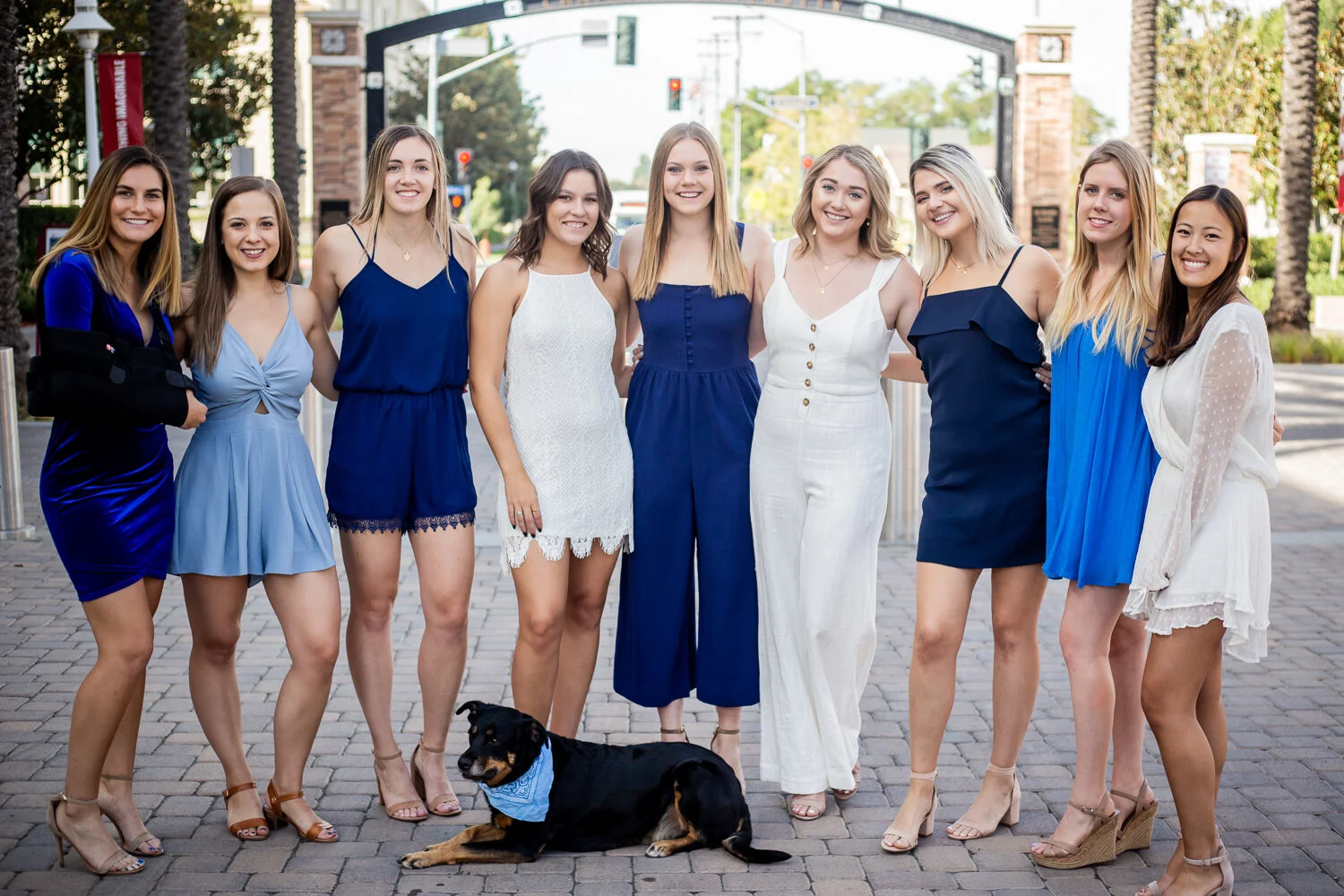 piphi web-27.jpg