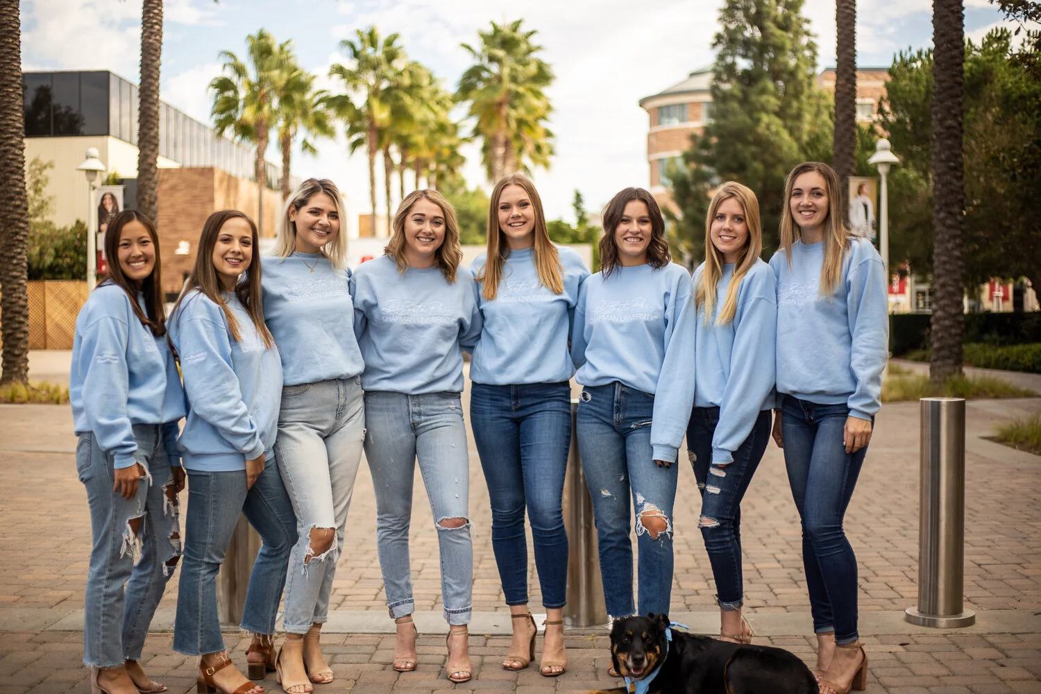 piphi web-68.jpg