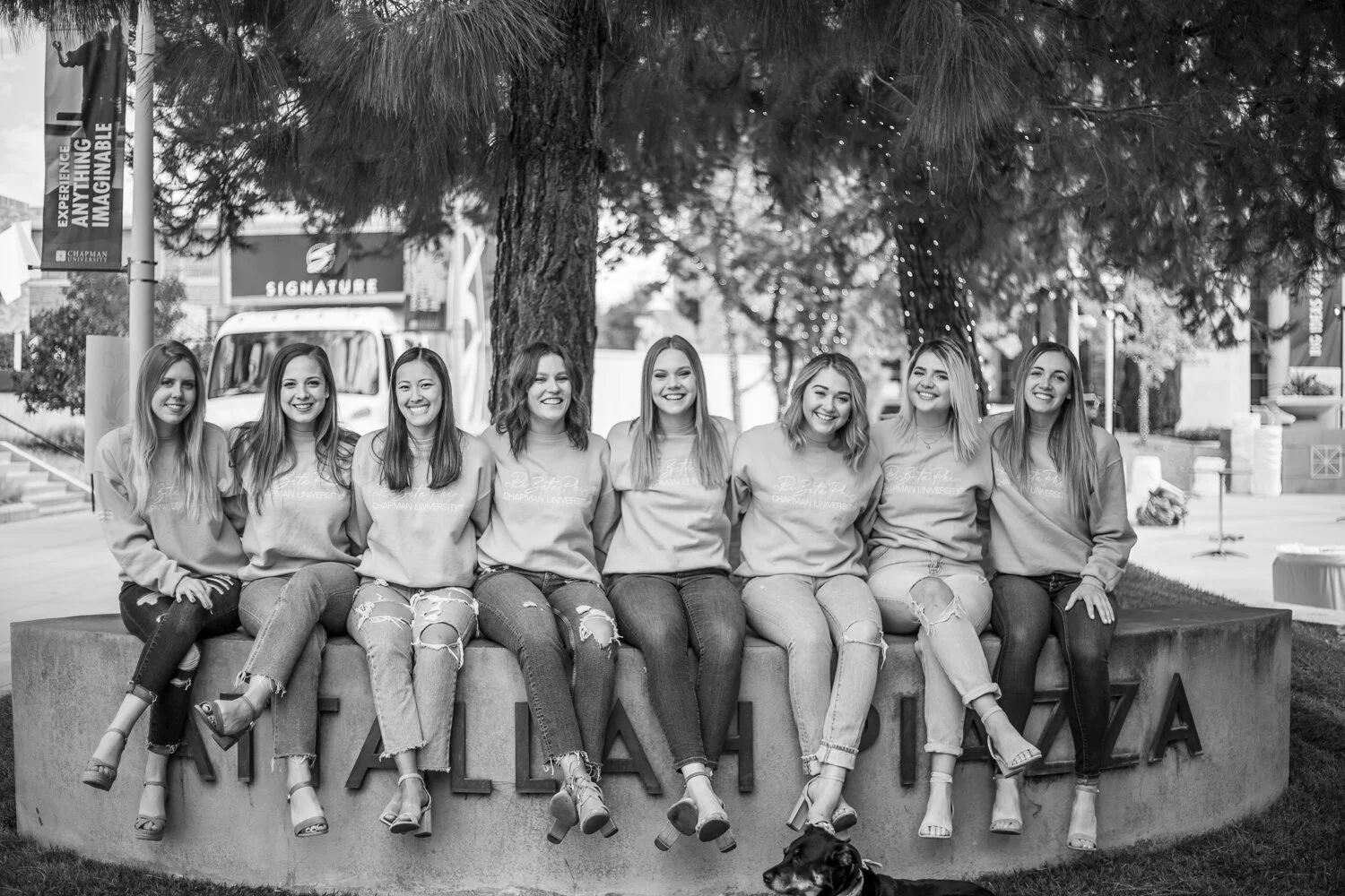 piphi web-72.jpg