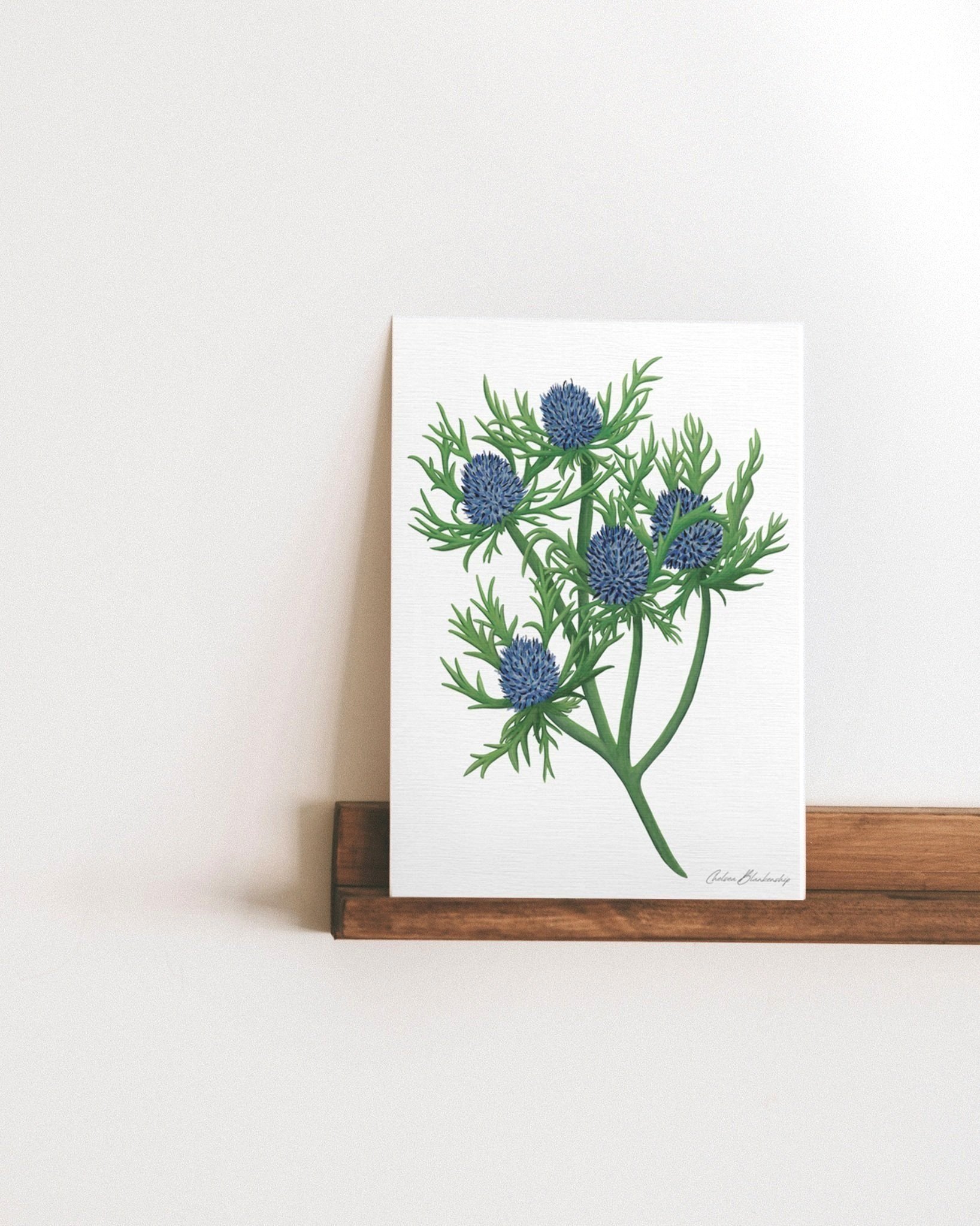 Thistles_Floating%252BShelf_Mockup.jpg