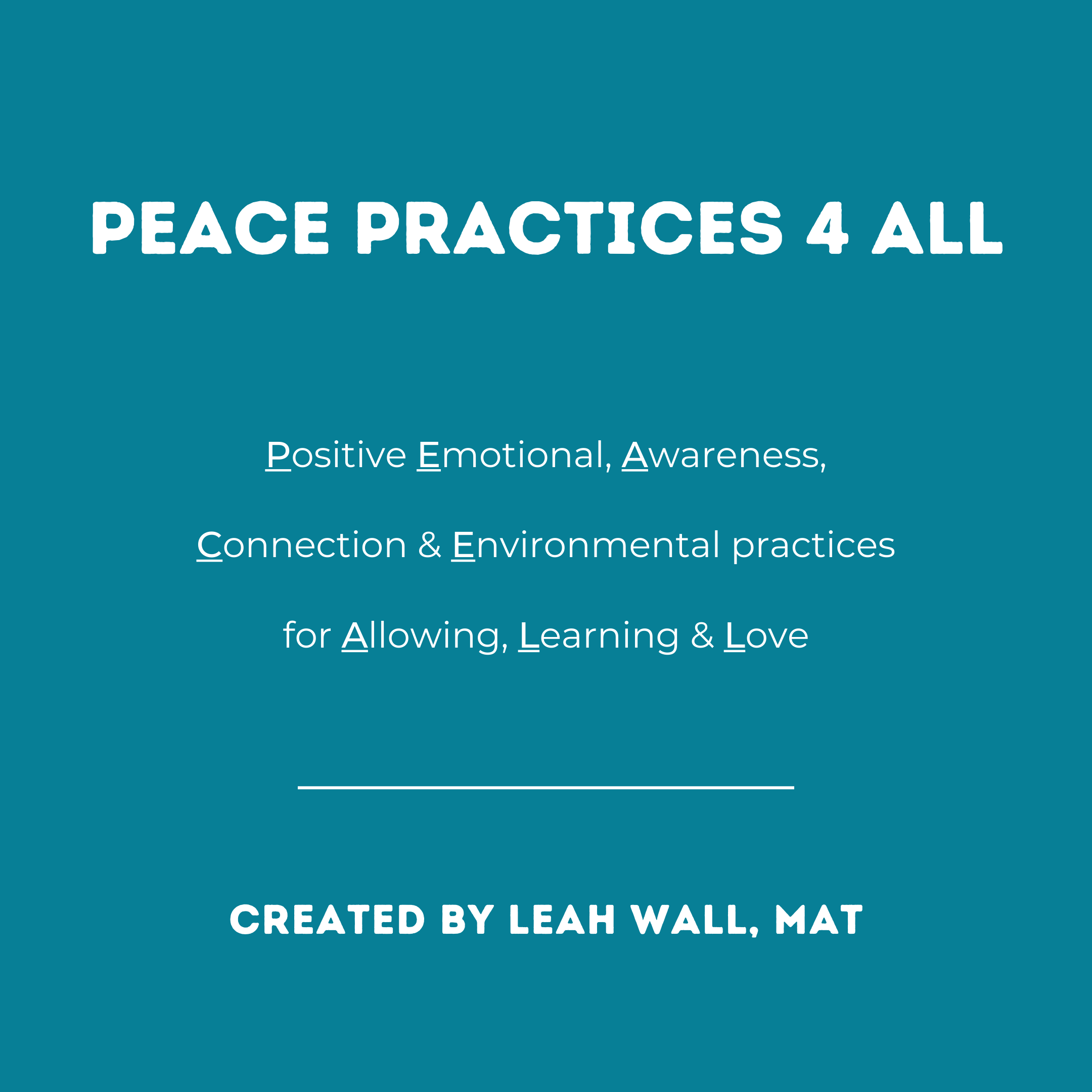 Peace Practices website 1.png