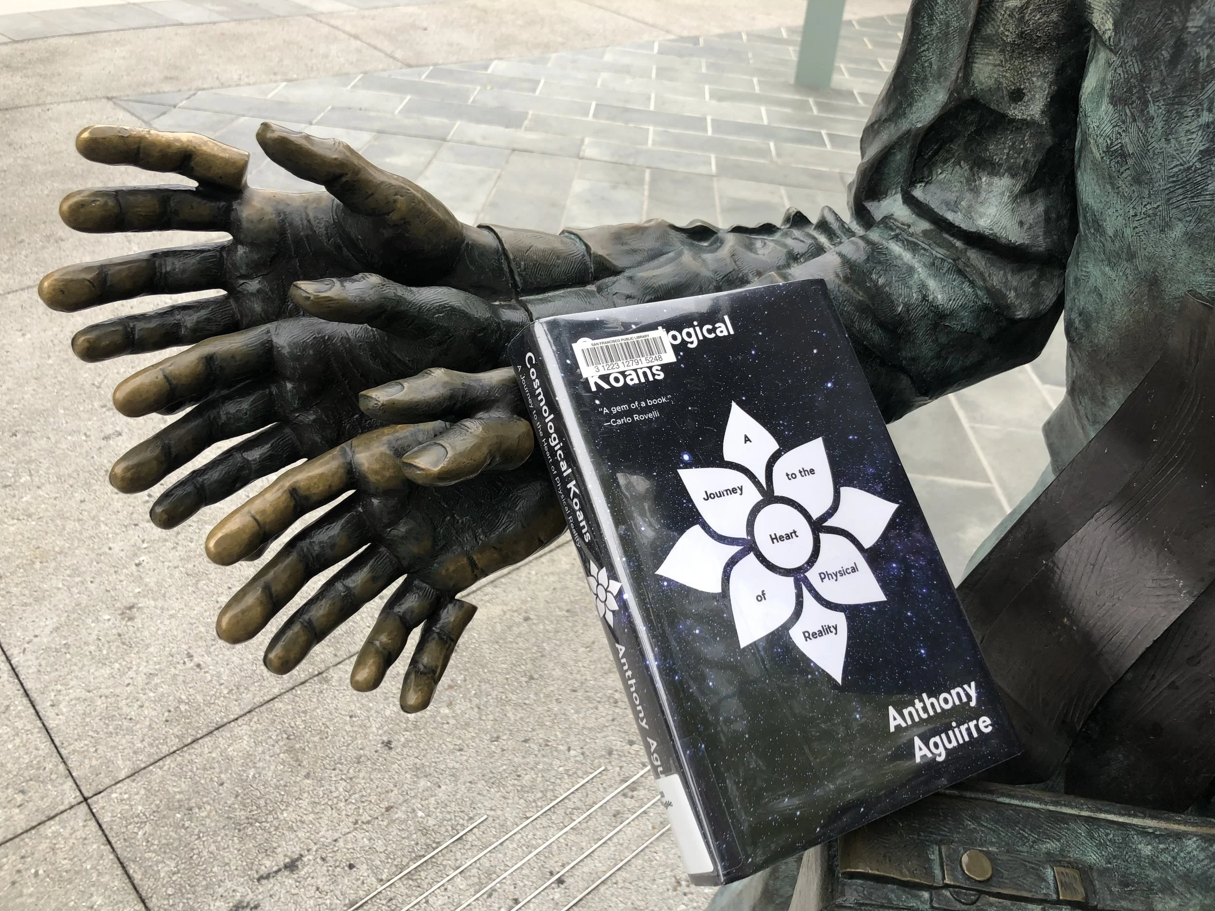 Cosmological Koans: A Journey to the Heart of Physical Reality