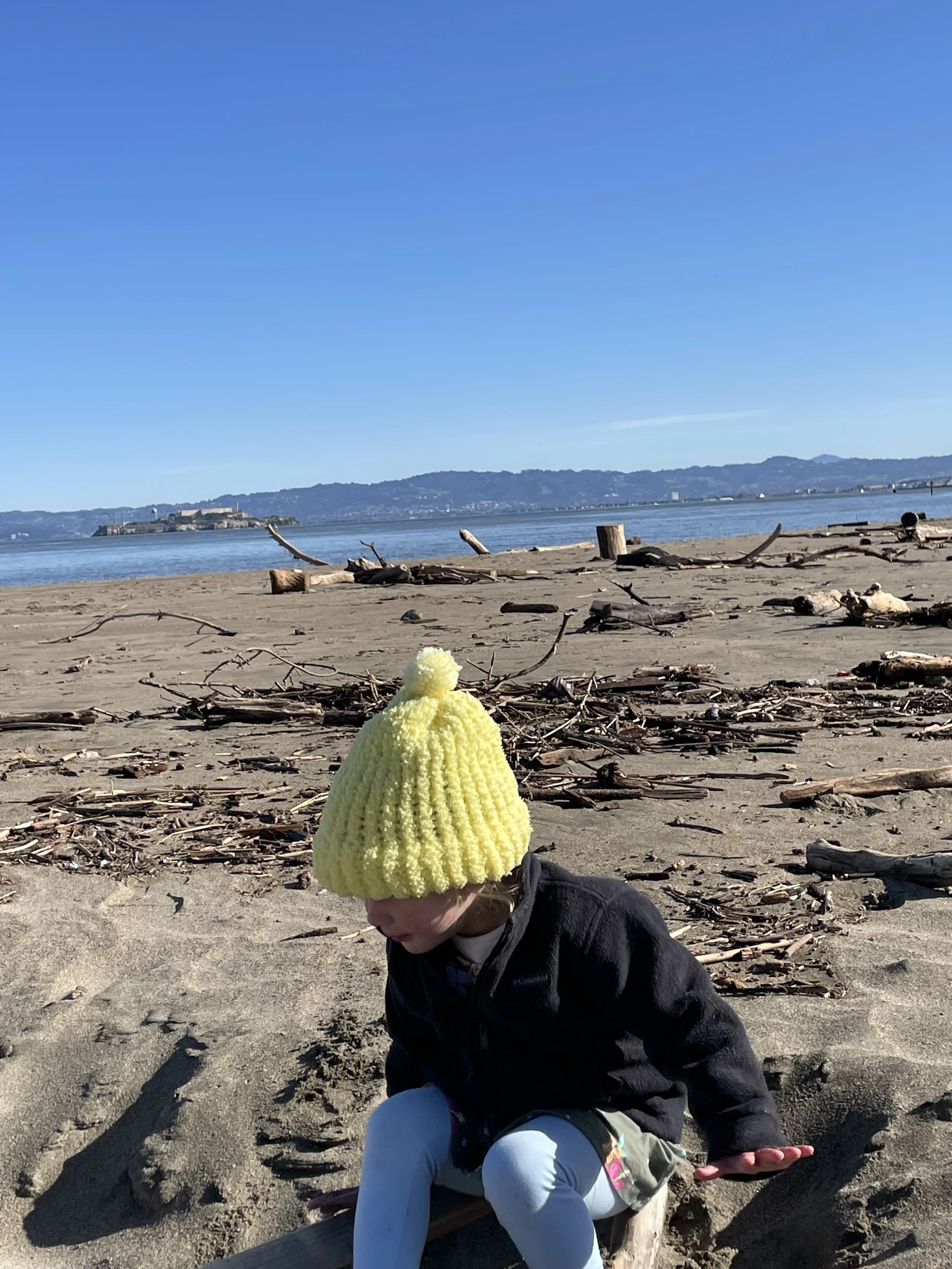 The Great Derangement: Climate Change and the Unthinkable