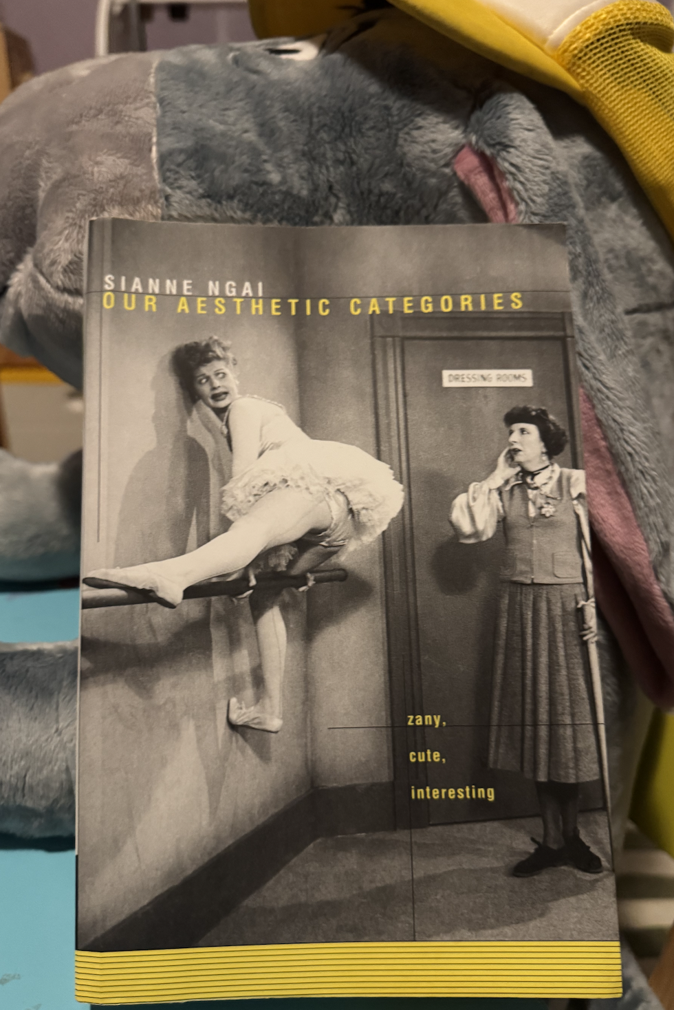 Our Aesthetic Categories: zany, cute, interesting