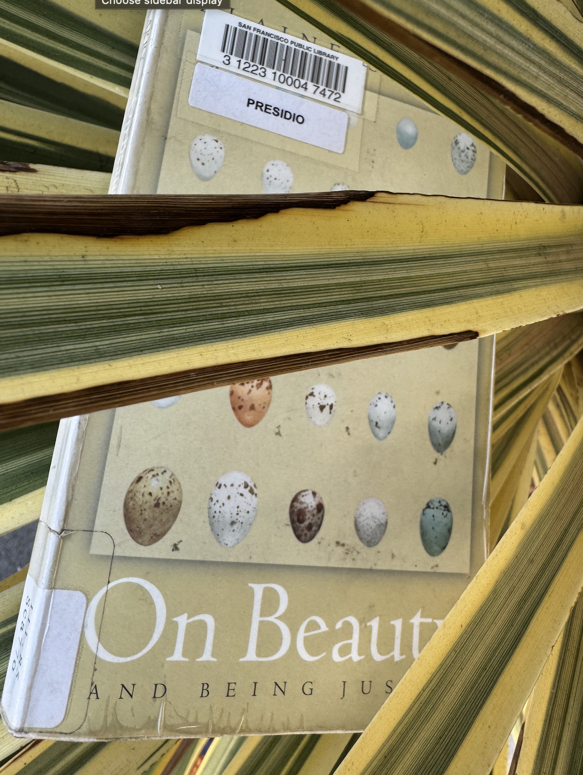 On Beauty and Being Just