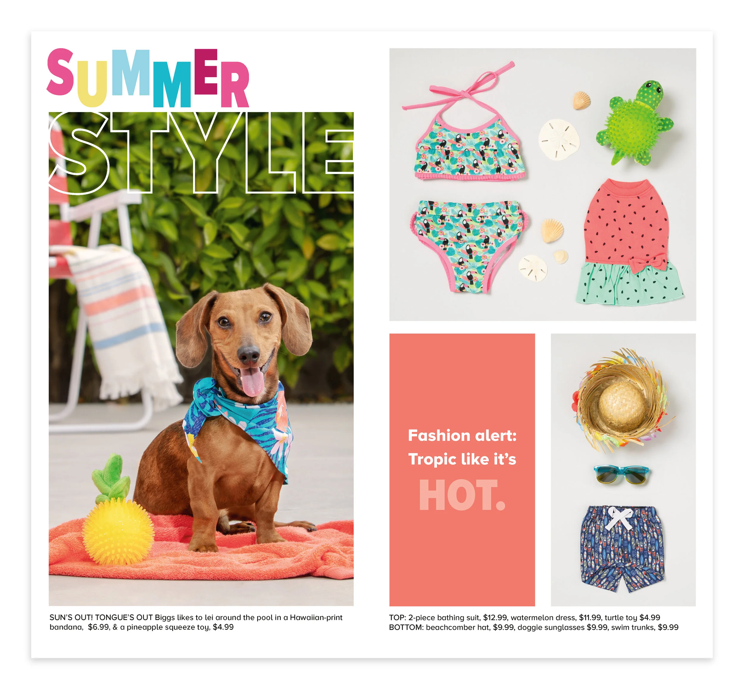 dog bathing suits petsmart