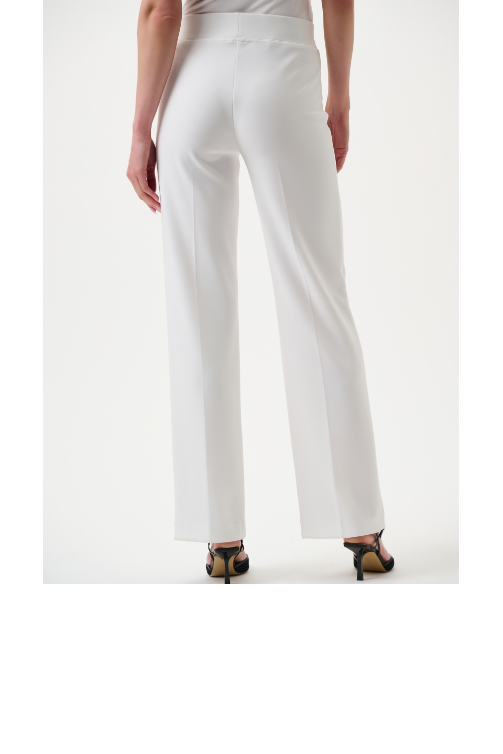 WEBSITE PRODUCT ENTRY-JR-Classic Wide Leg Pant-VAN-B.png