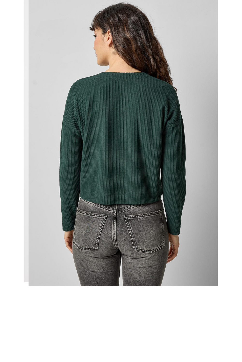 LP- LS CARDI-SPR-B.png