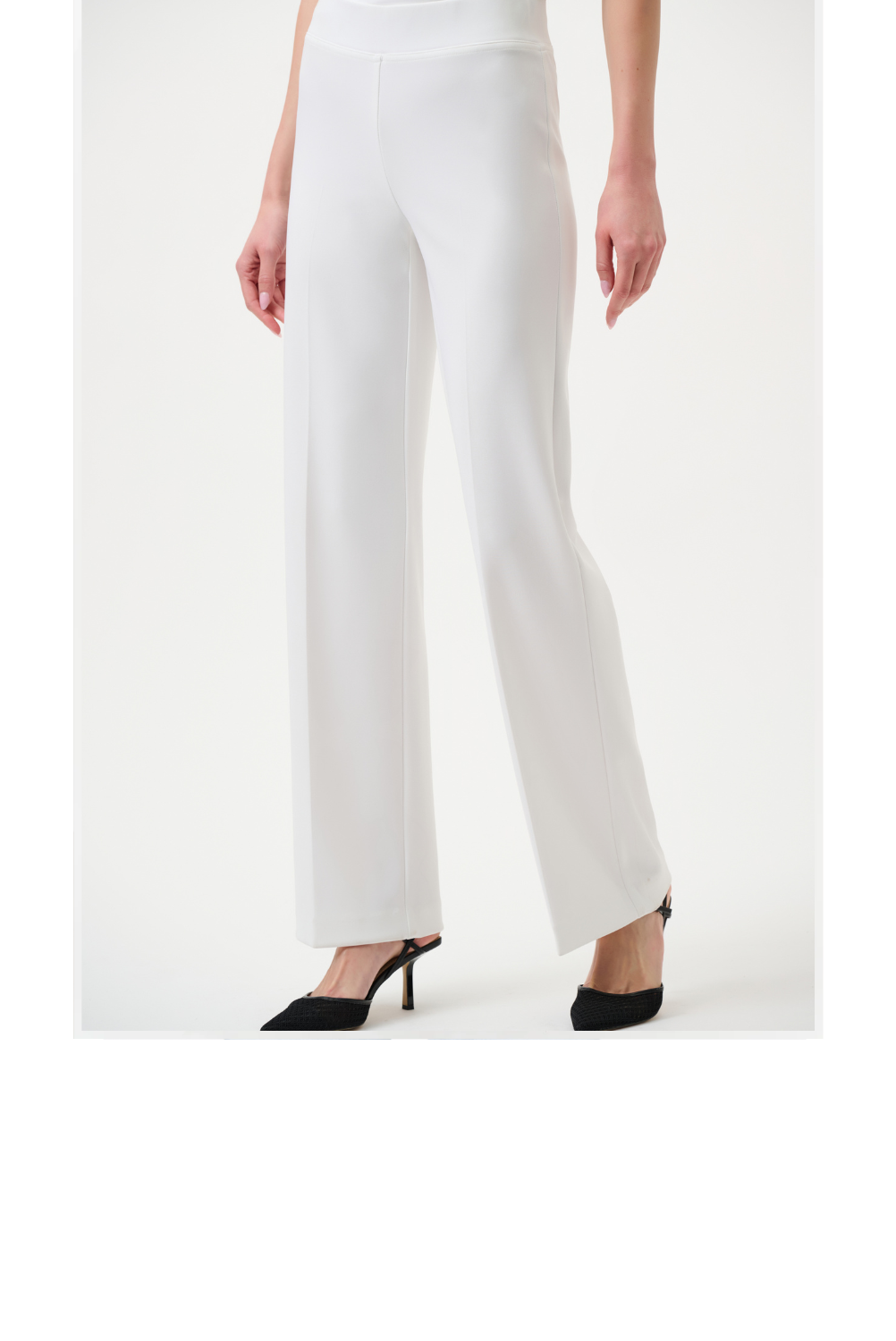 WEBSITE PRODUCT ENTRY-JR-Classic Wide Leg Pant-VAN-F.png