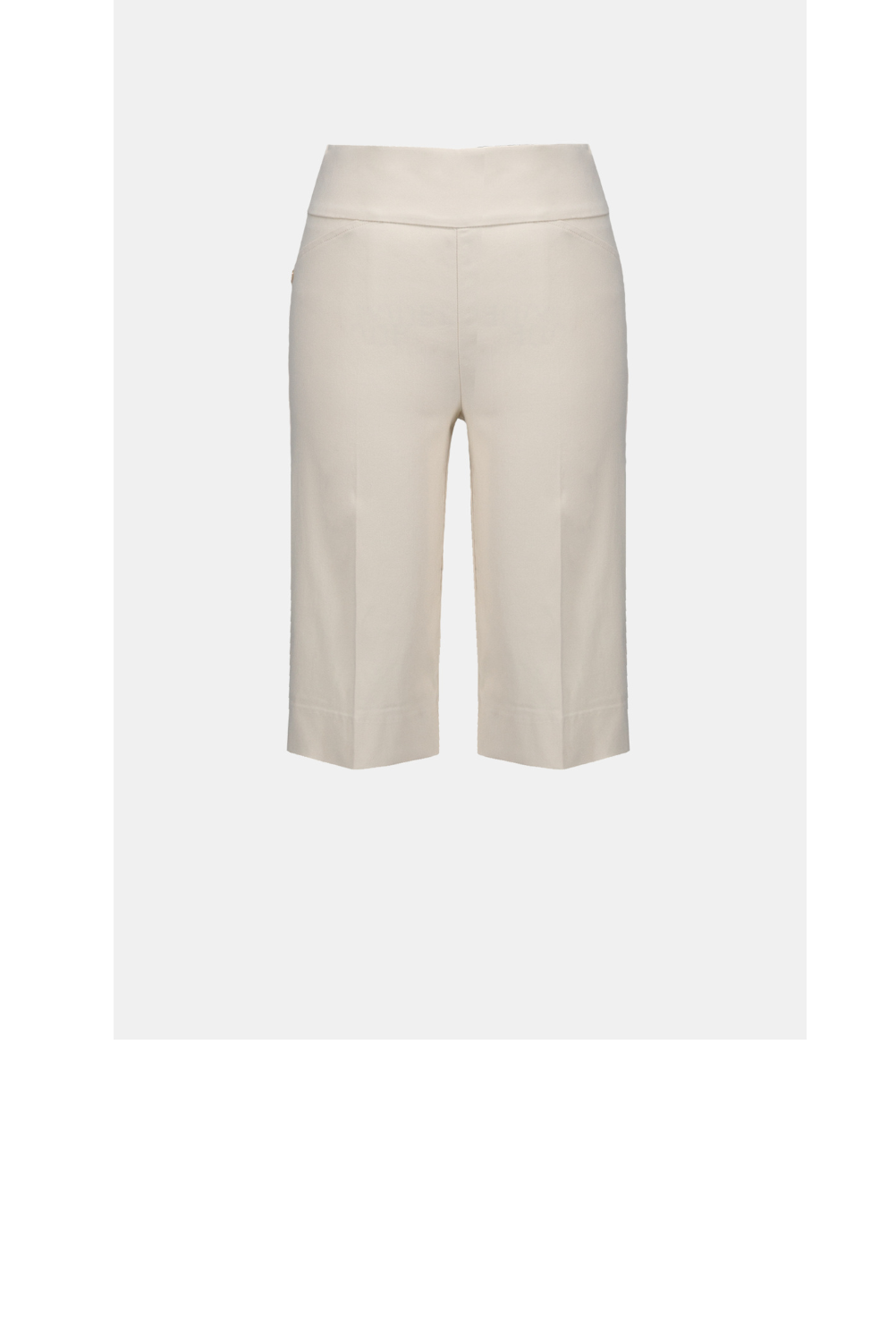 WEBSITE PRODUCT ENTRY-JR-Millennium Bermuda Shorts-CAN-IS.png