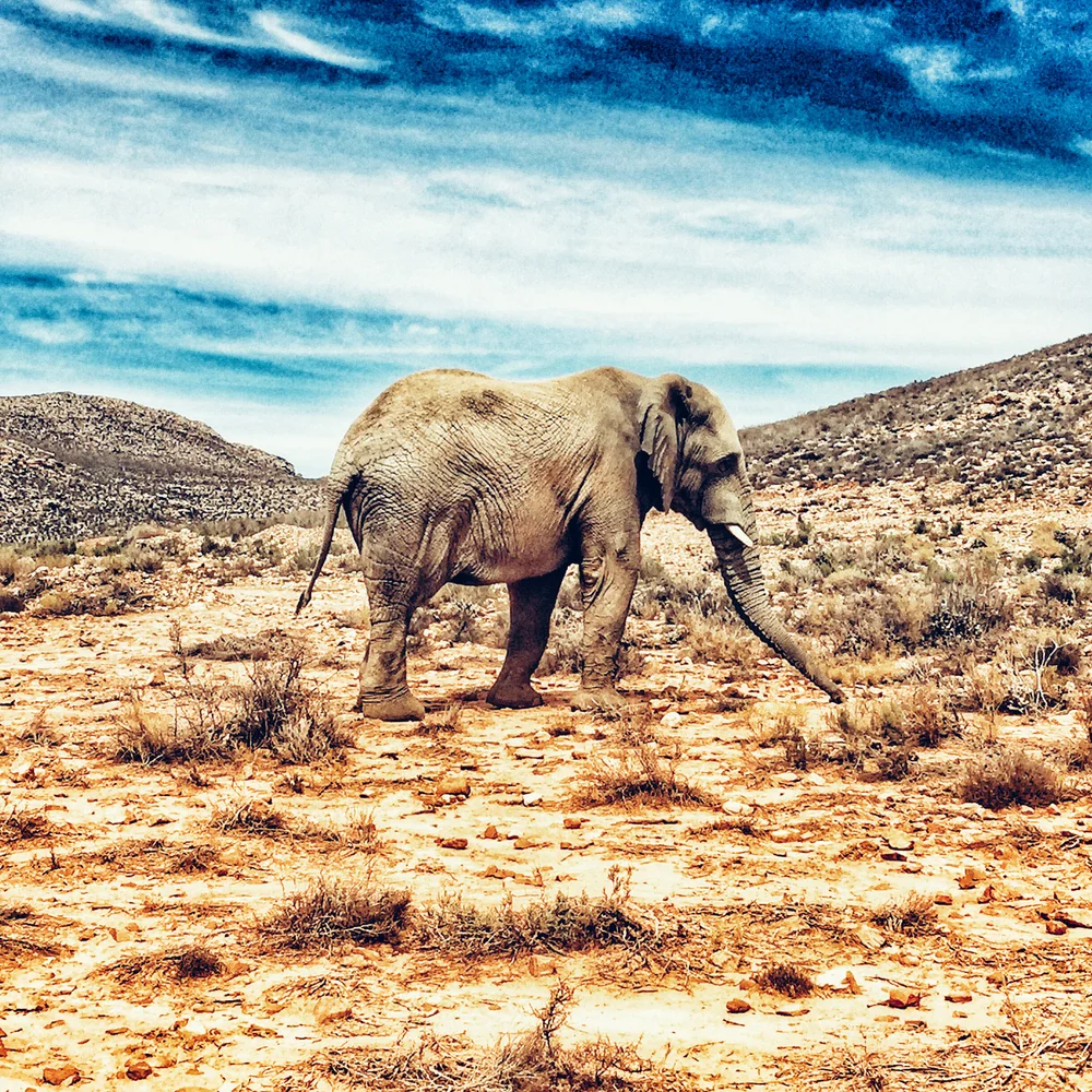 Aquila Park JPEG image-855AC4AFA92C-1.jpeg