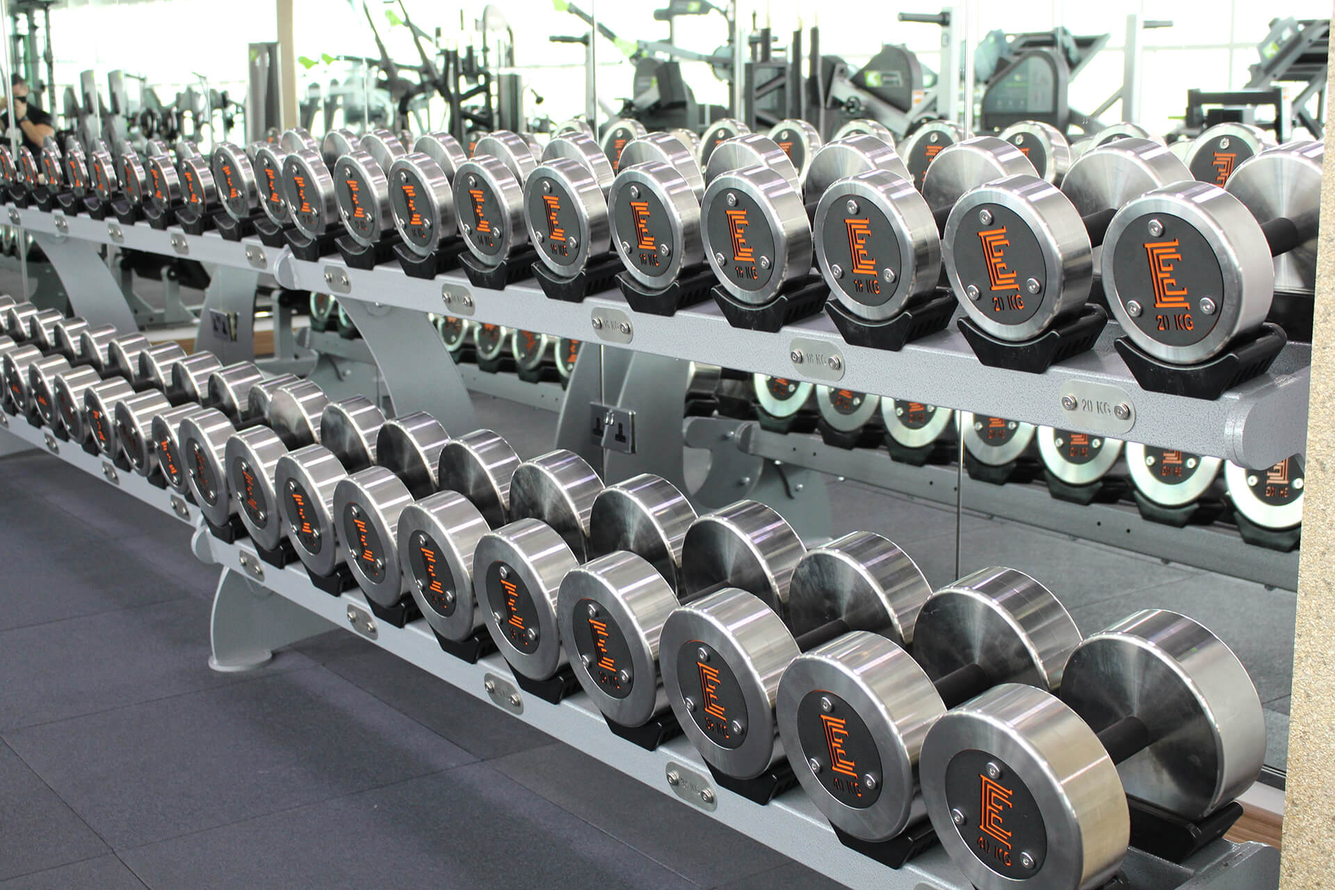 elite-fitness-branded-dumbbells.JPG