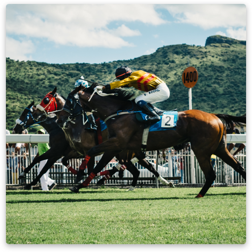 Horse Racing is the Original American Sport