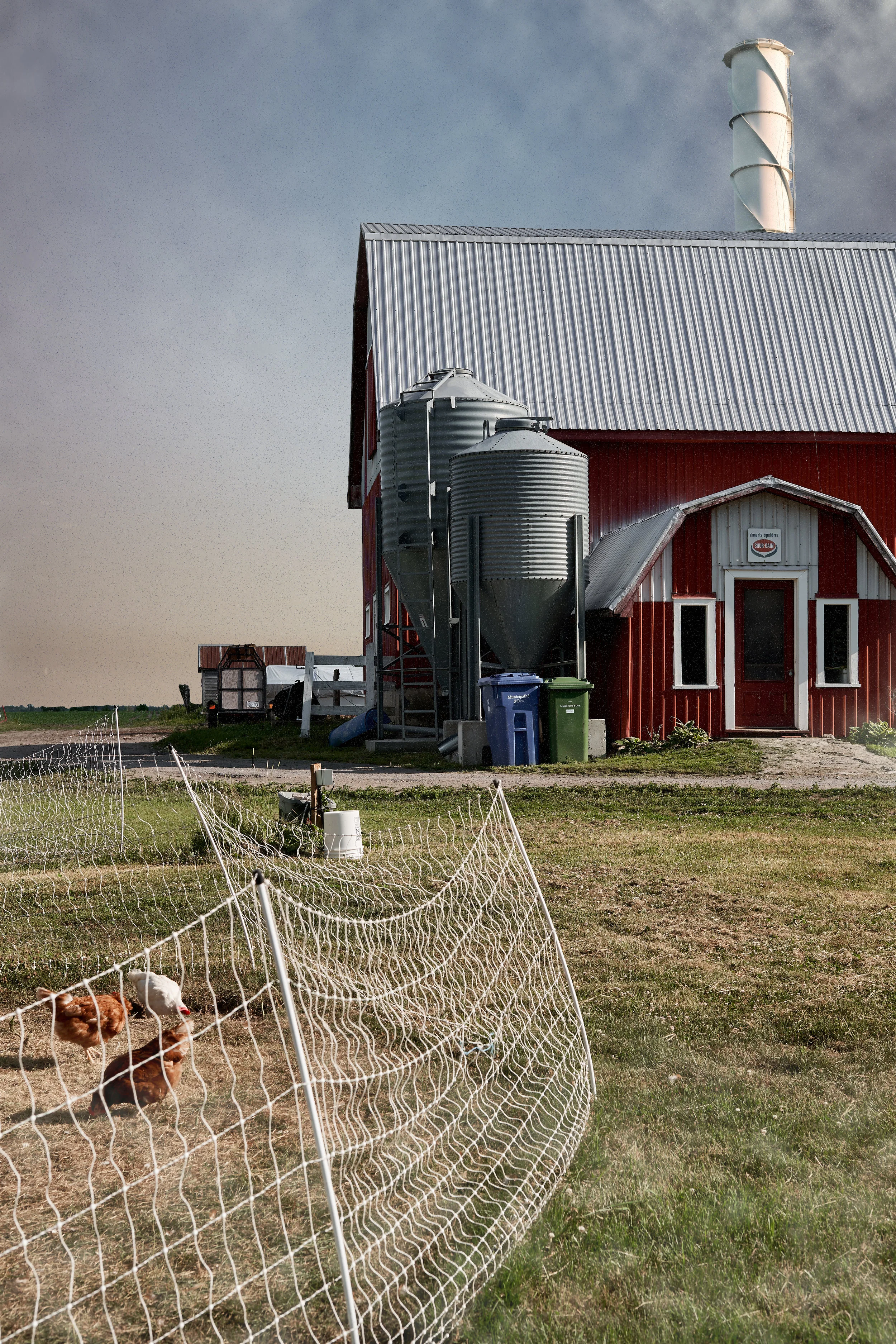 A red barn with a metal roof and silos outside, a chicken wire fence in the foreground with two chickens, and trash bins near the barn.