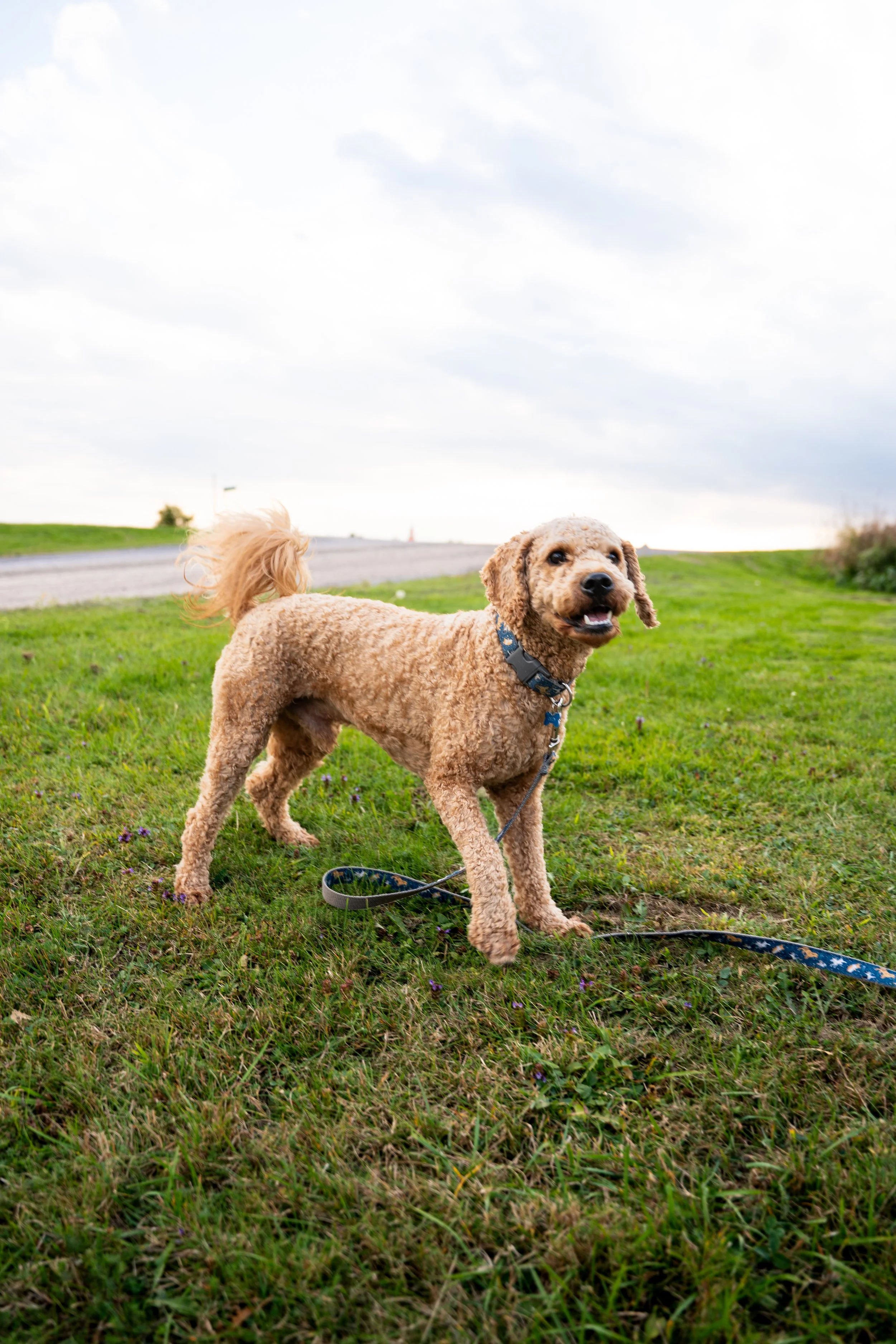 Nic & Natalie First Round FULL-1.jpg