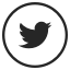 iconfinder_twitter__social__media__icons_2986068.png