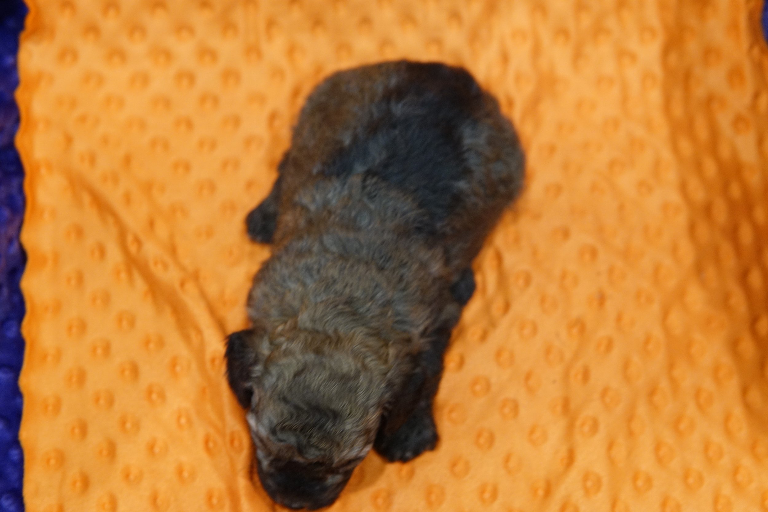 DSC09691.JPG