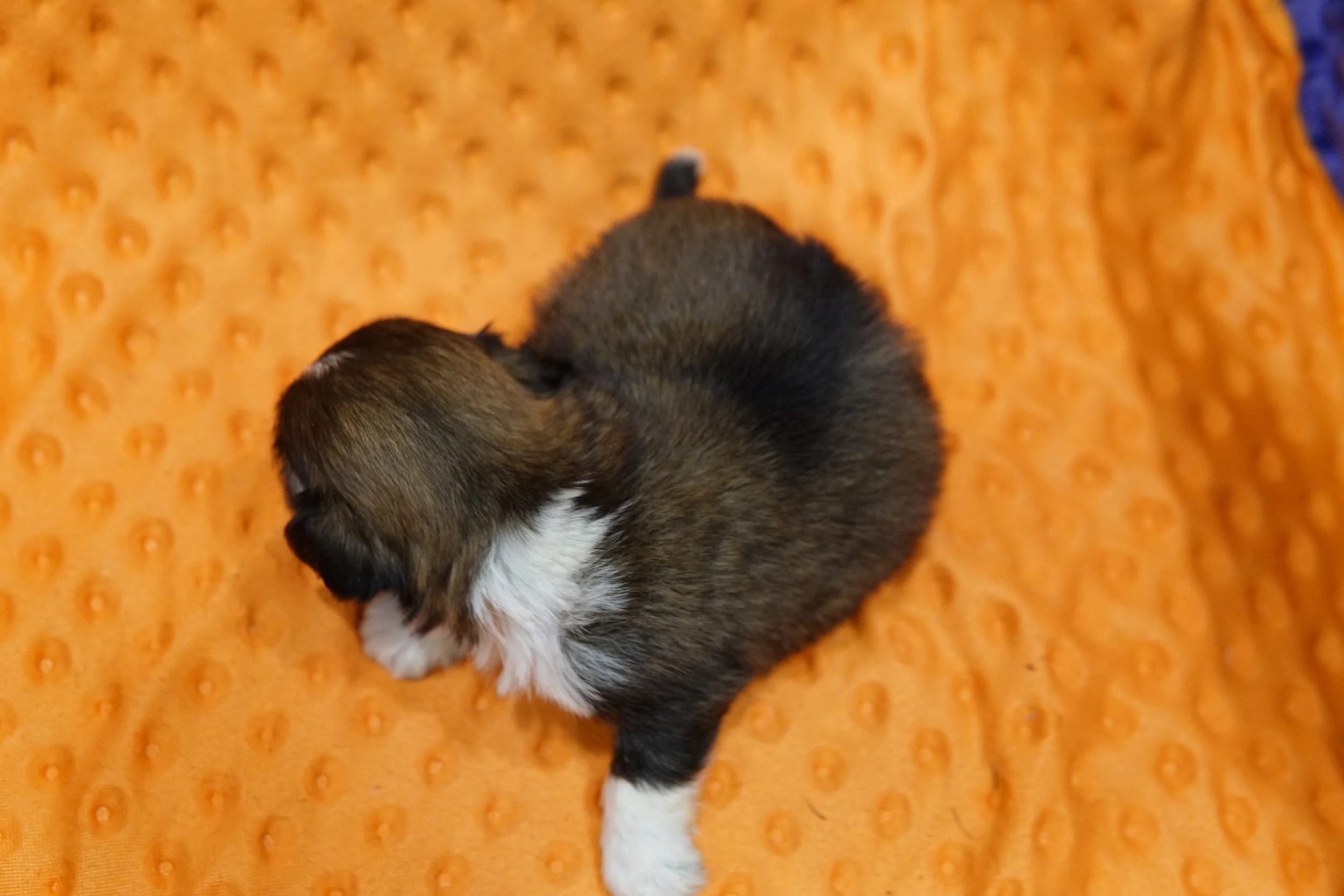 DSC00008.JPG