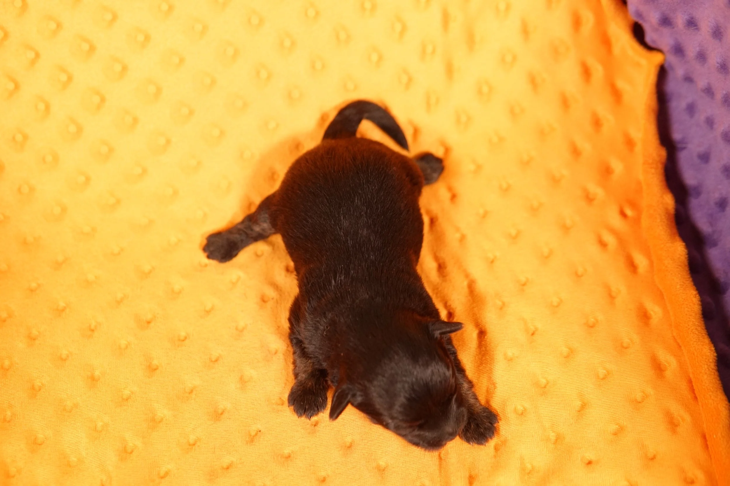 DSC08178.JPG