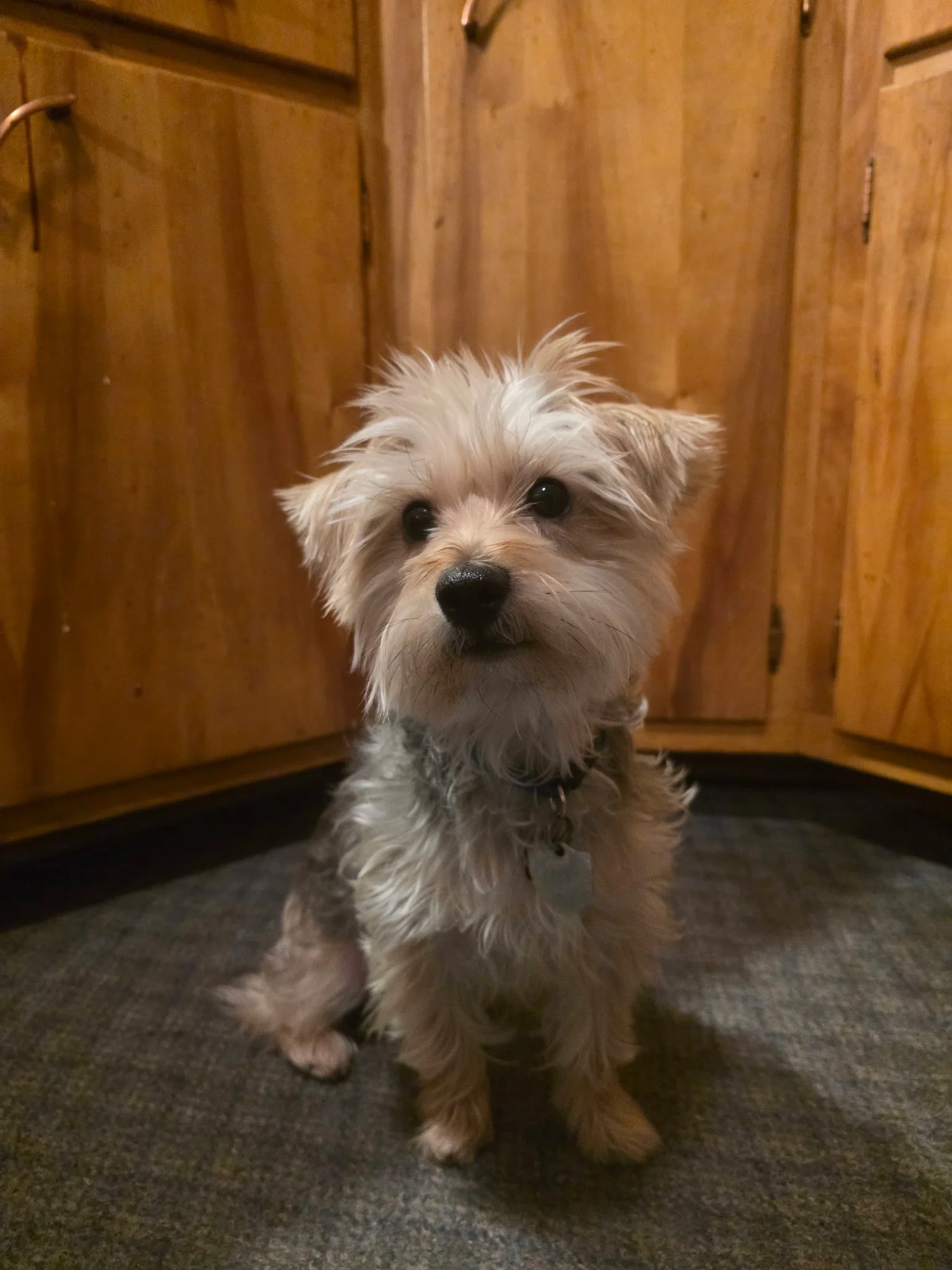 IMG_20260205_093424 (1).jpg