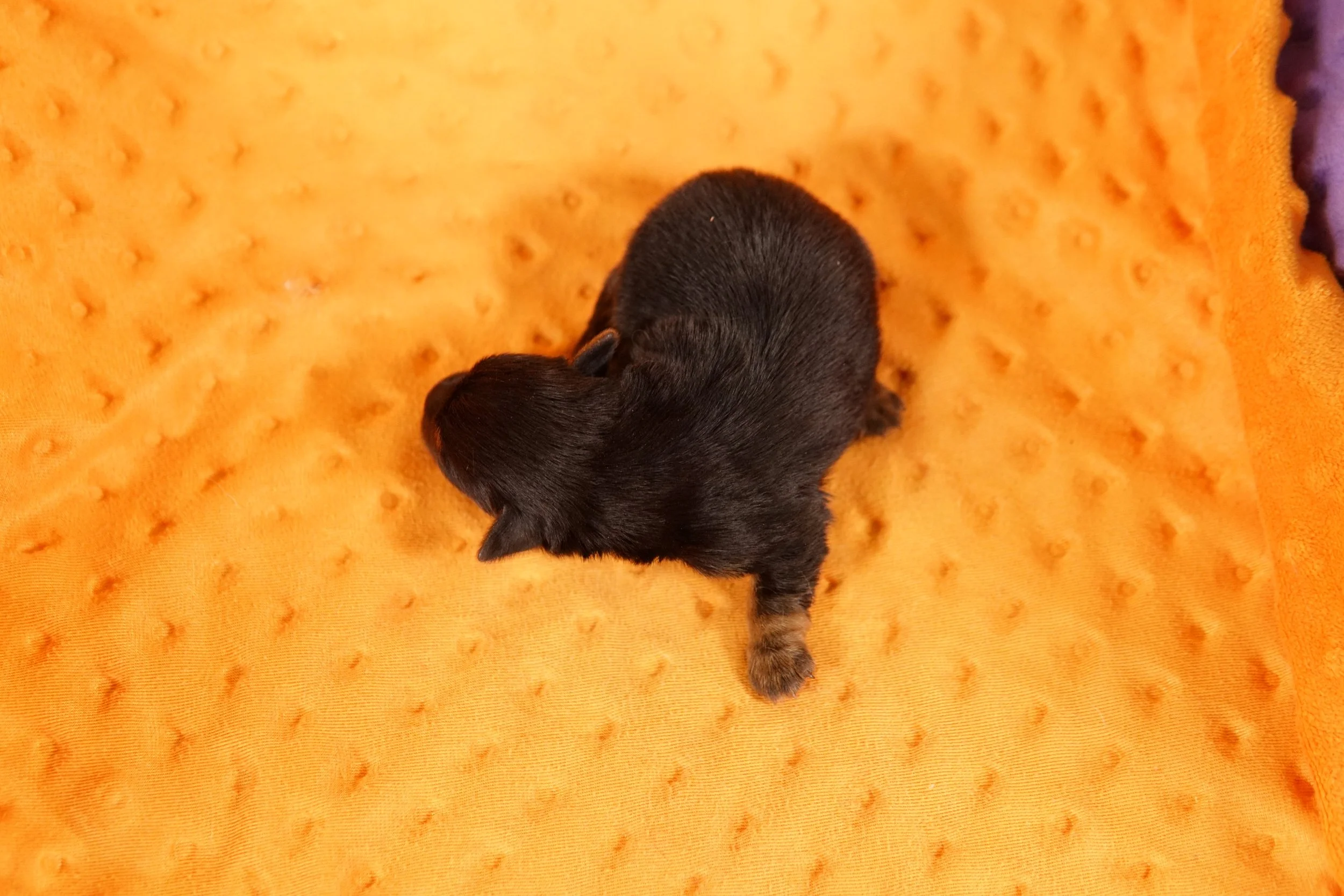 DSC08708.JPG