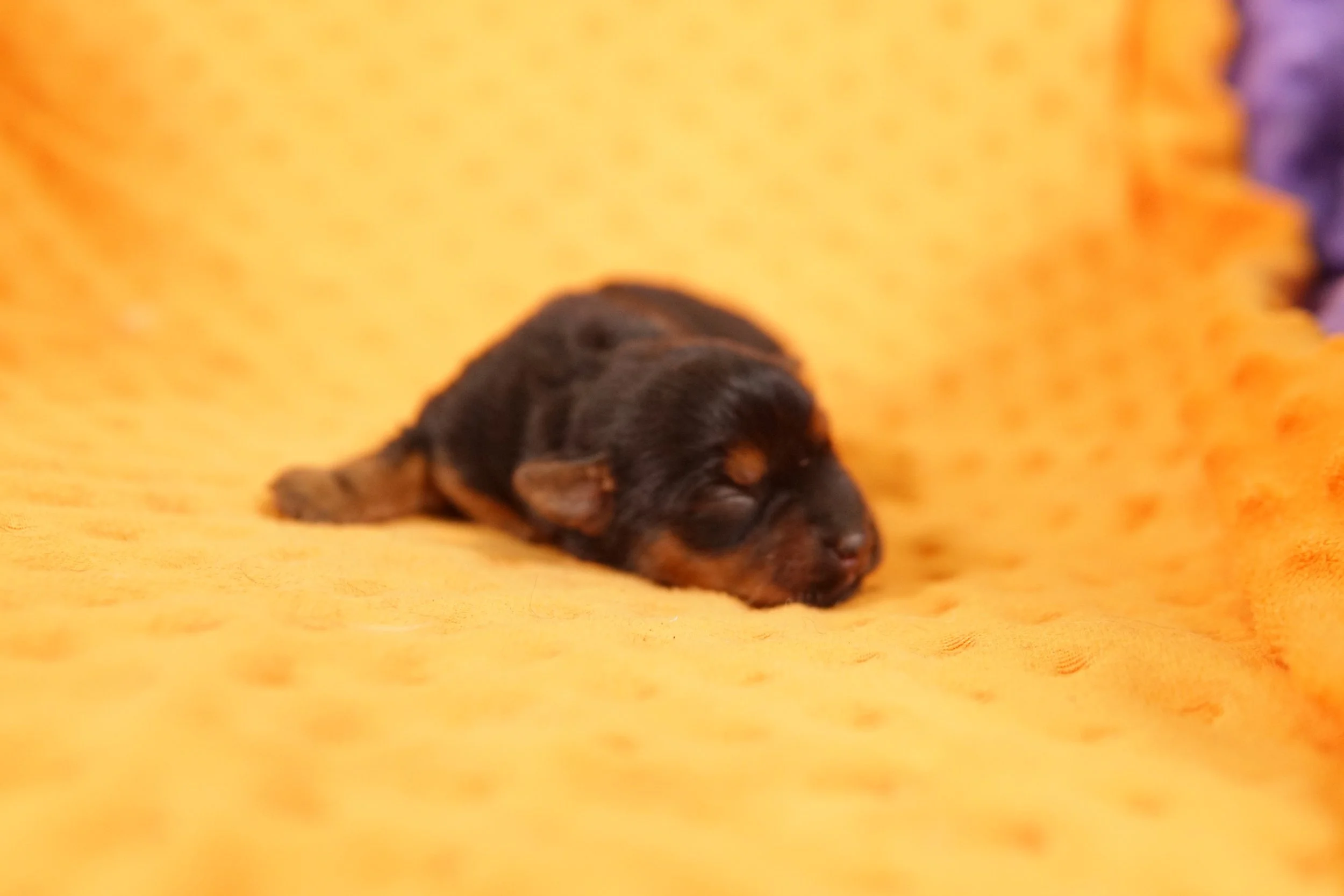 DSC08714.JPG