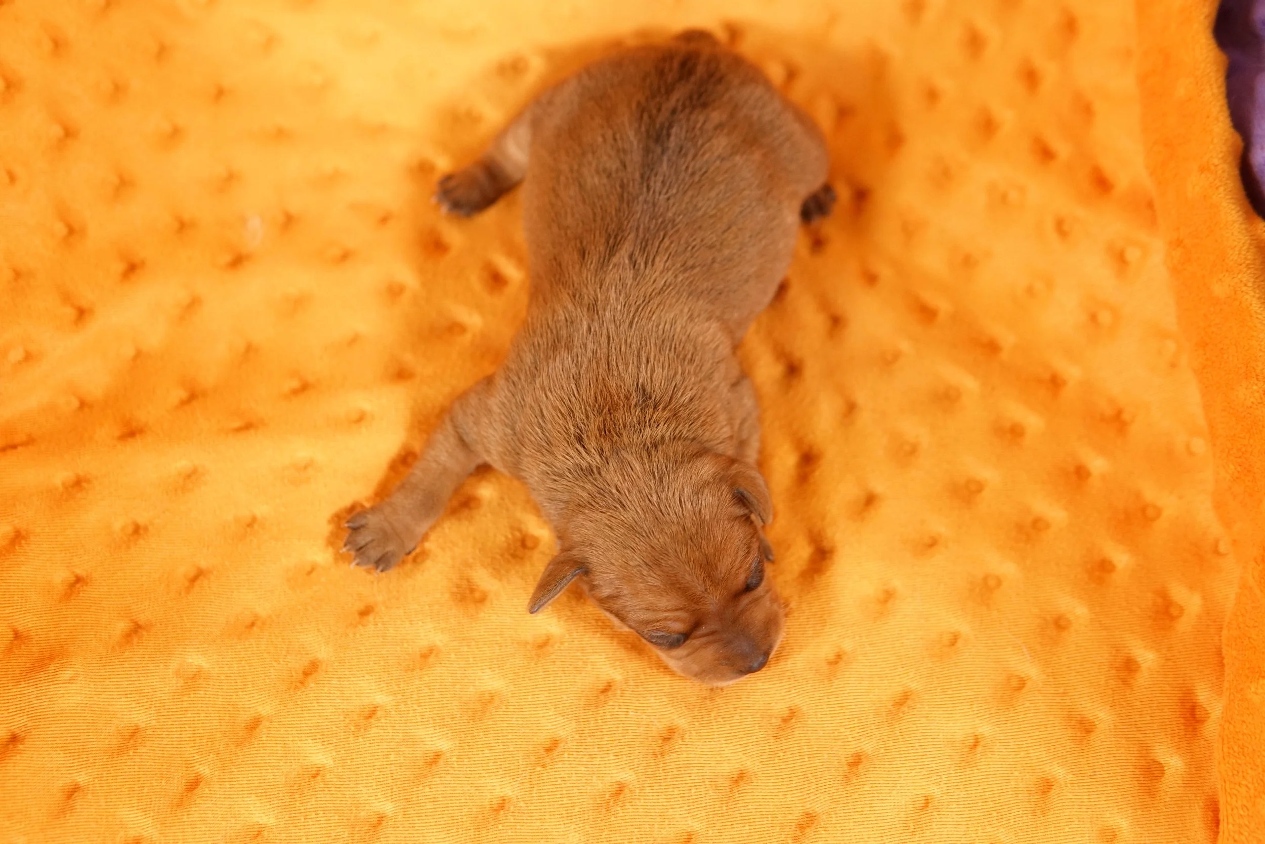 DSC08594.JPG