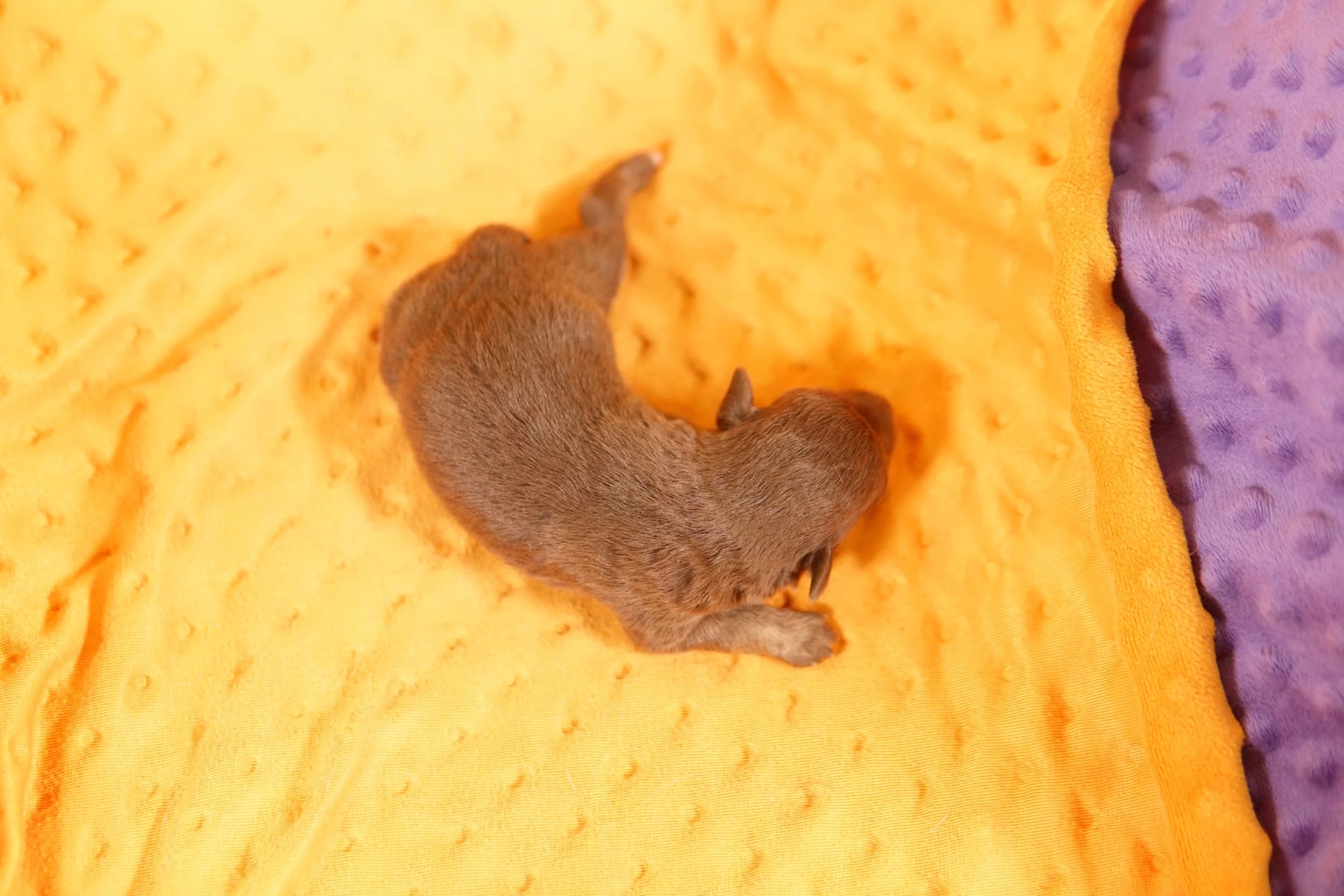 DSC09973.JPG