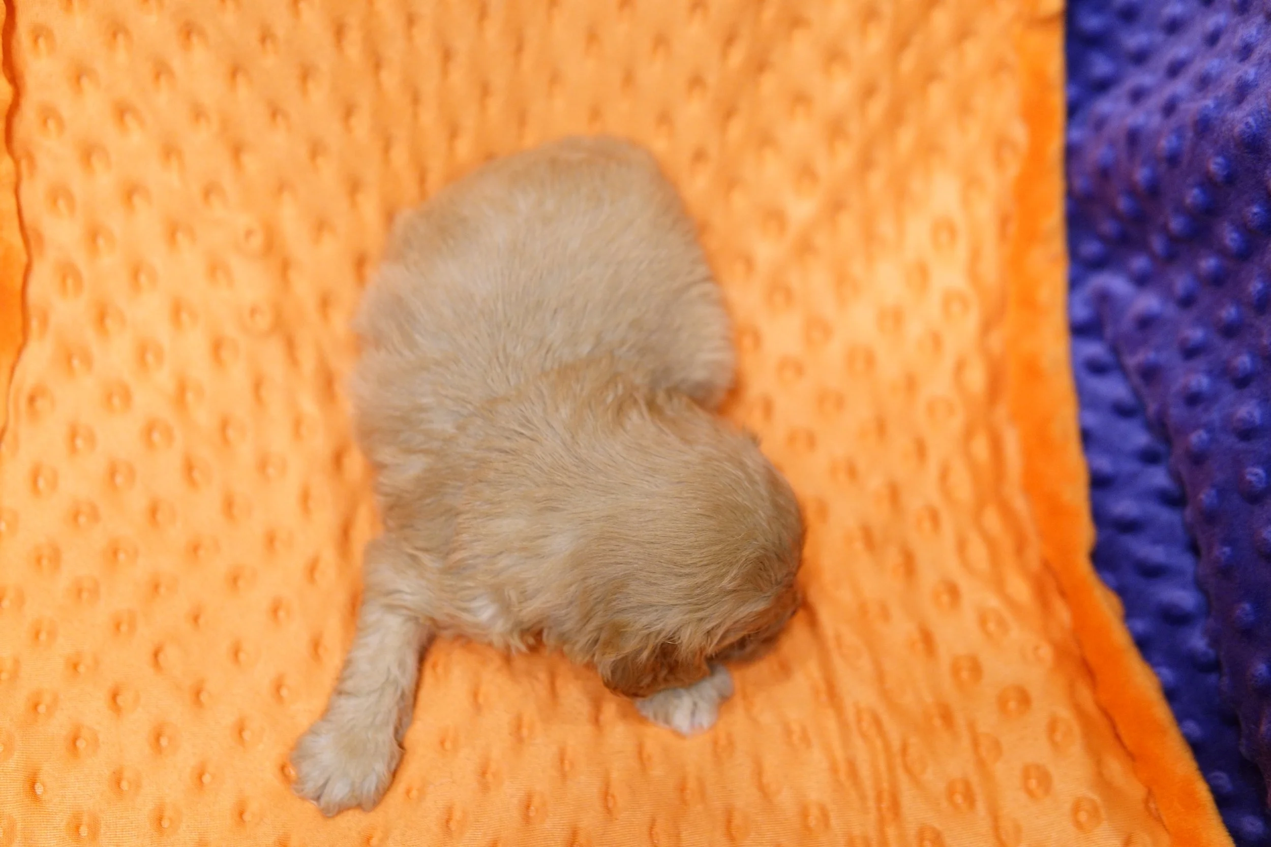 DSC08807.JPG