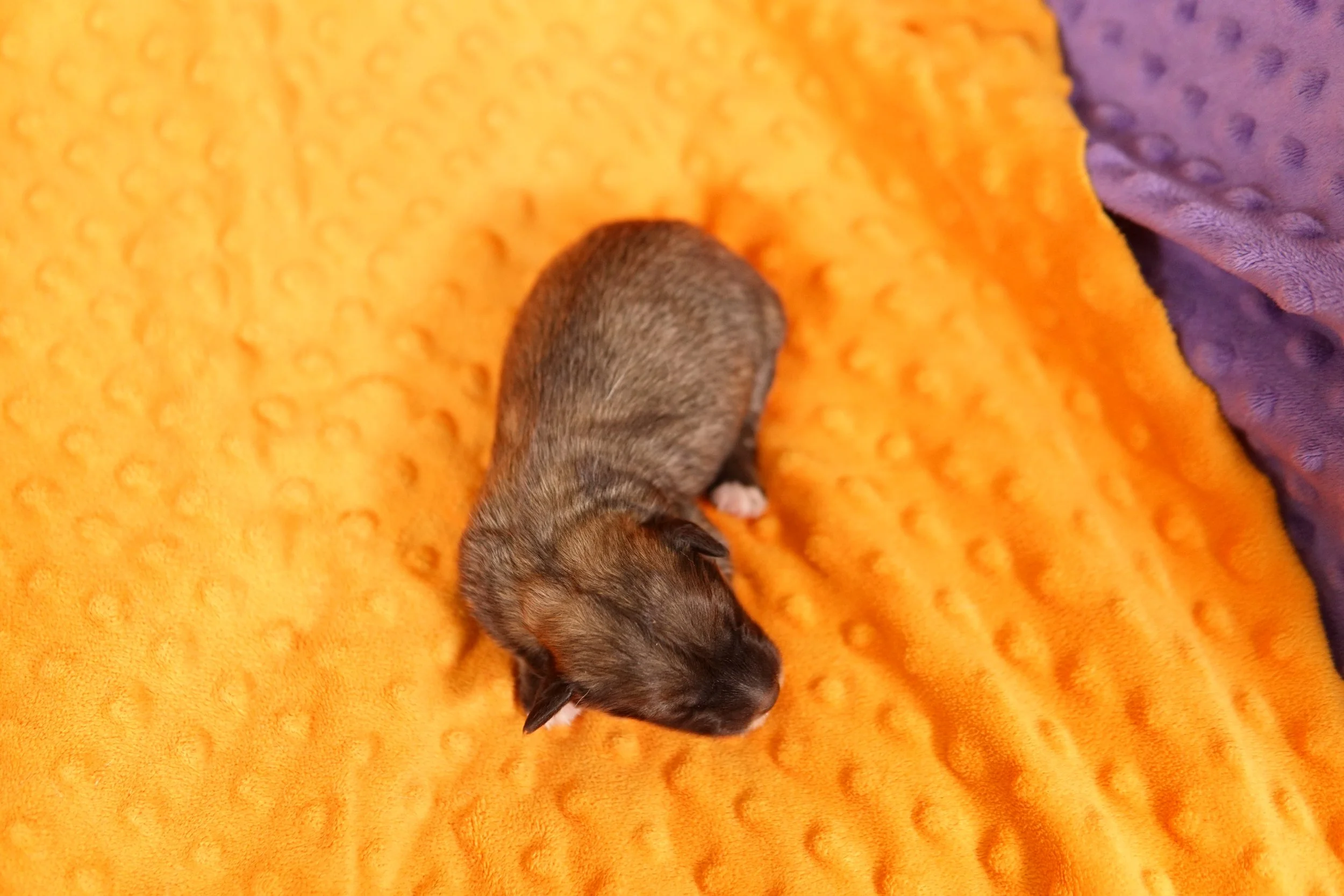 DSC09146.JPG