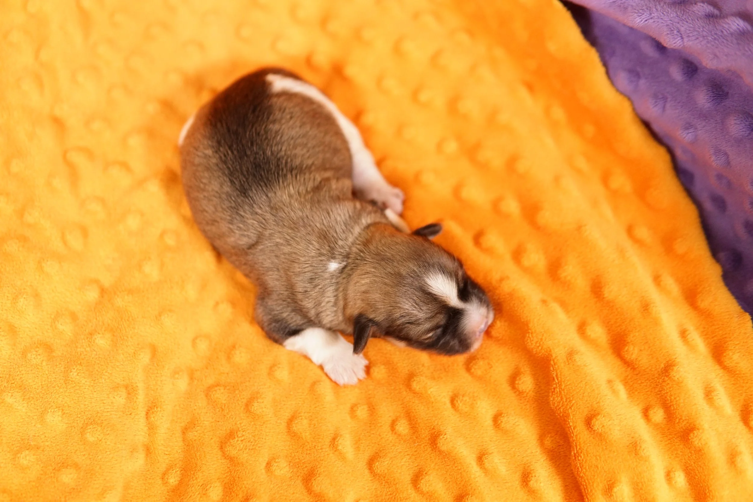 DSC09212.JPG