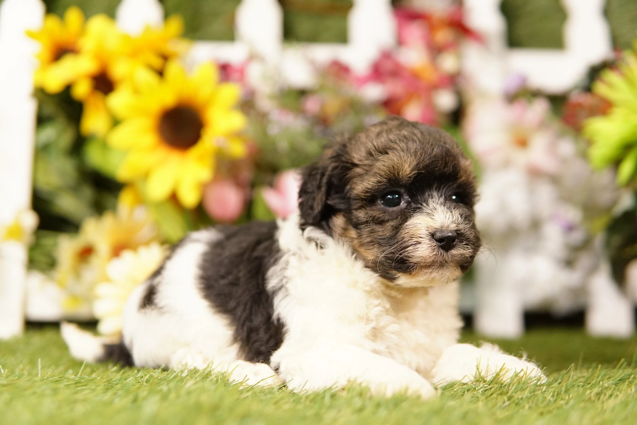 DSC00021.JPG