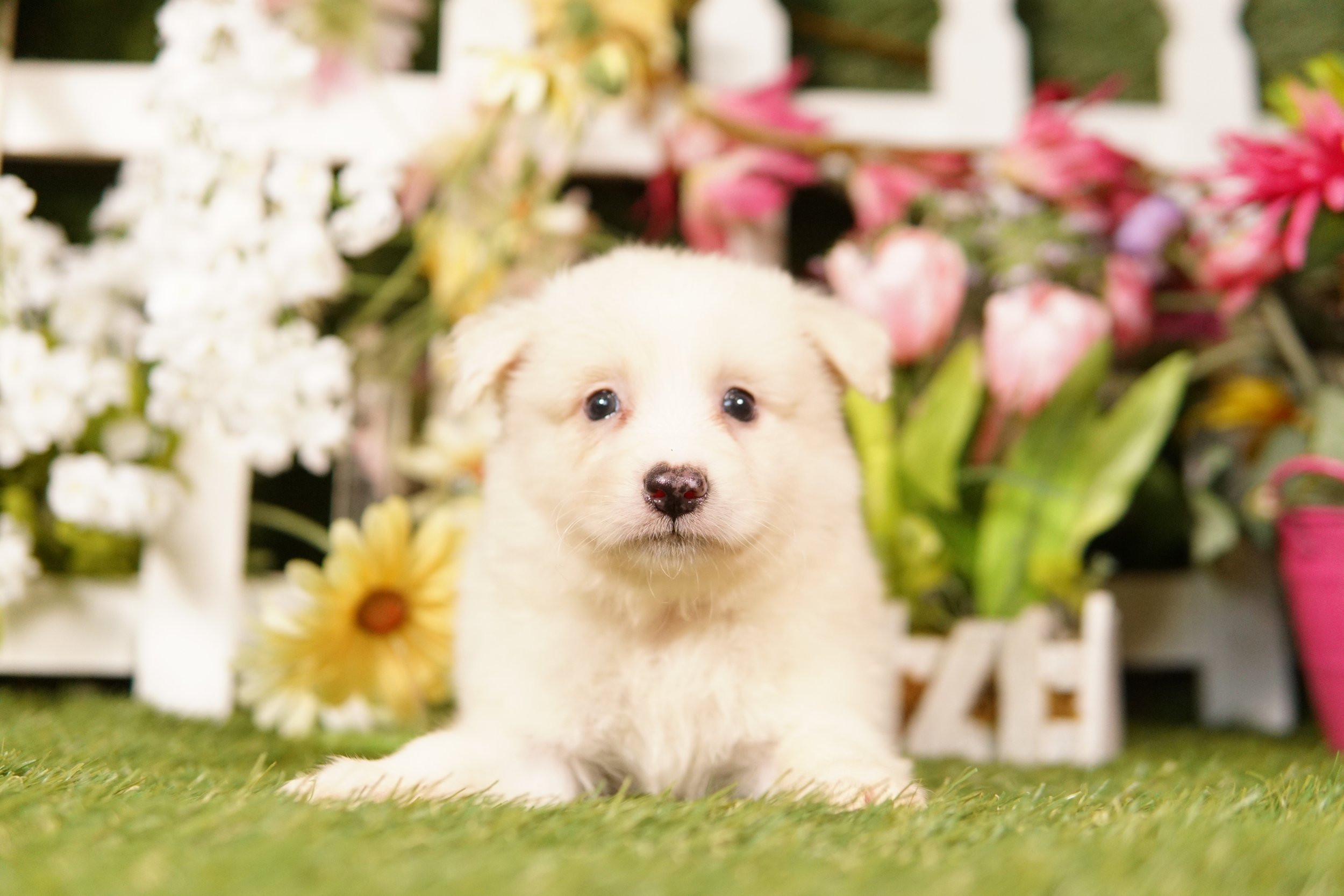 DSC02111.JPG