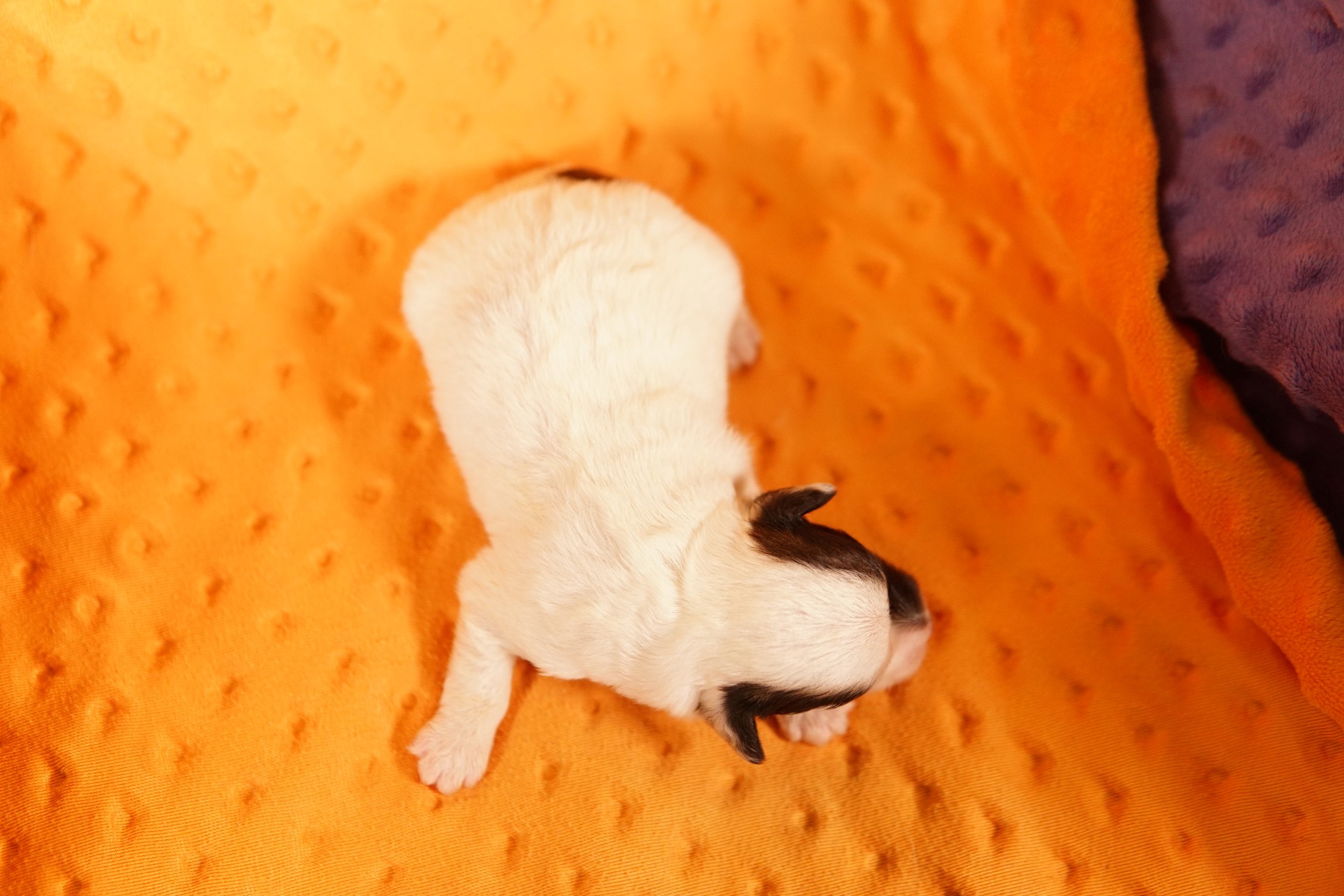 DSC04822.JPG