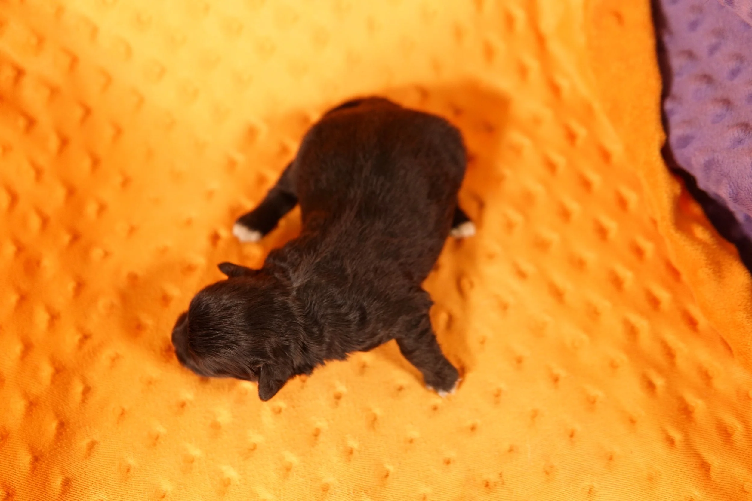 DSC04897.JPG