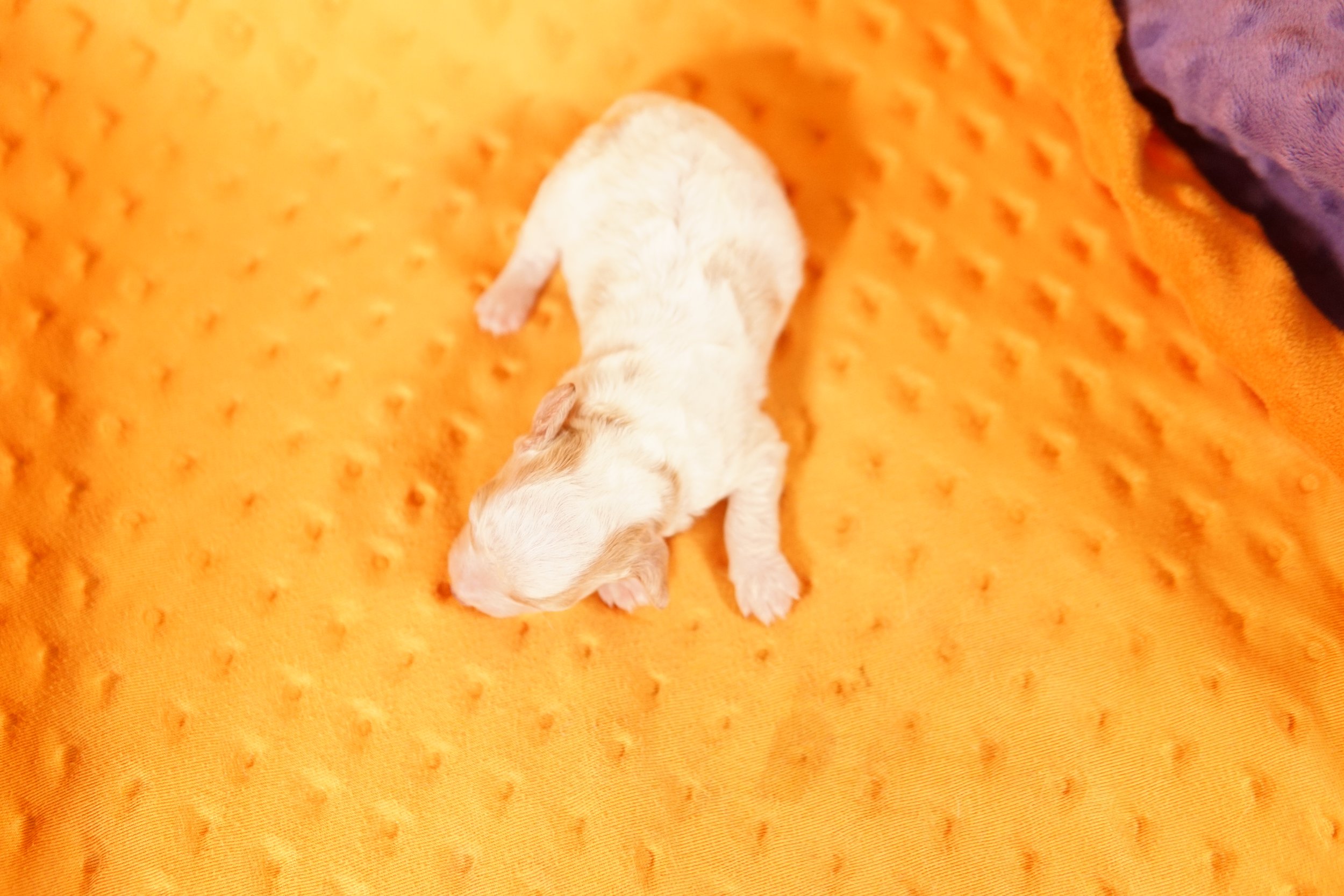 DSC04687.JPG