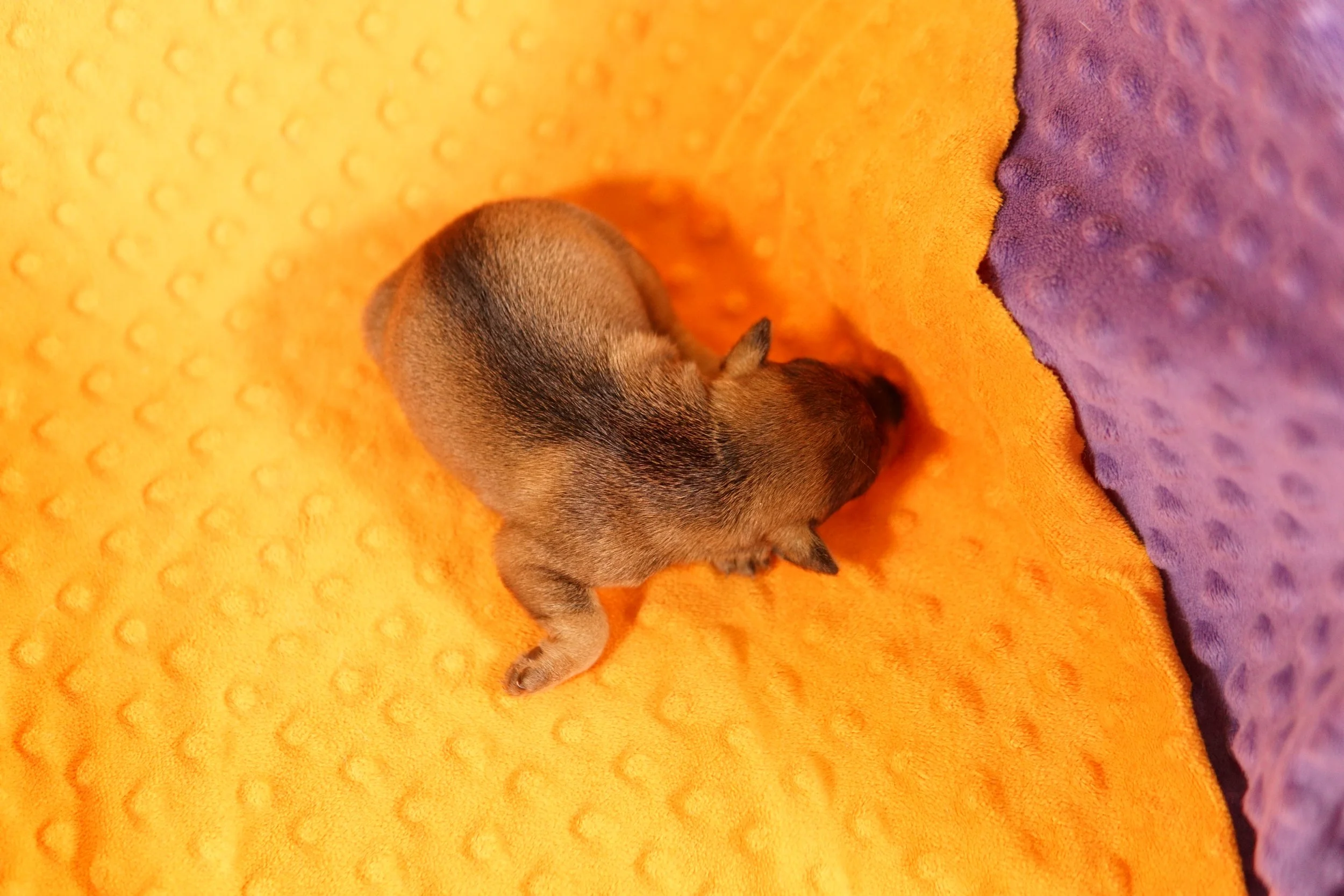 DSC06170.JPG