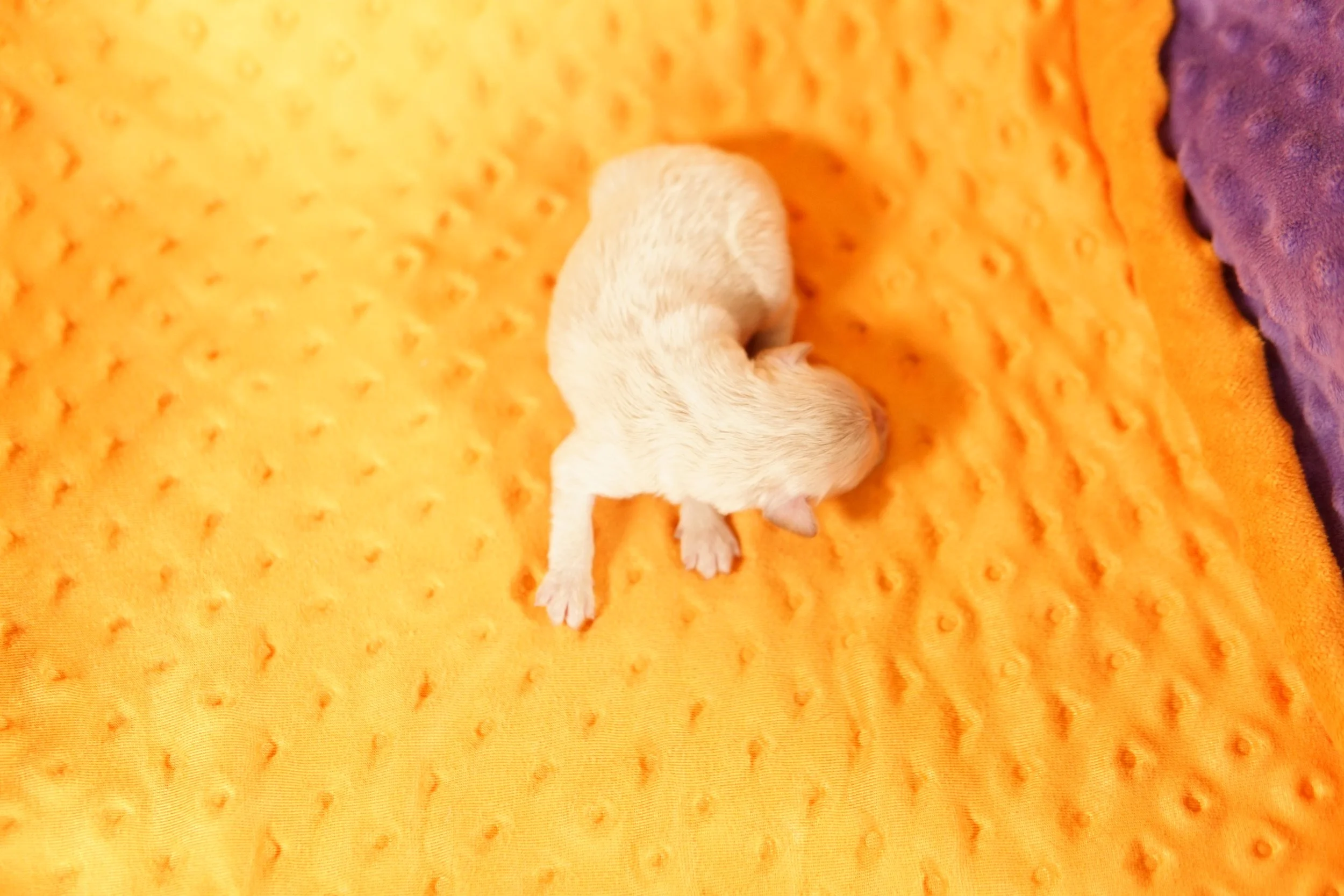 DSC08876.JPG
