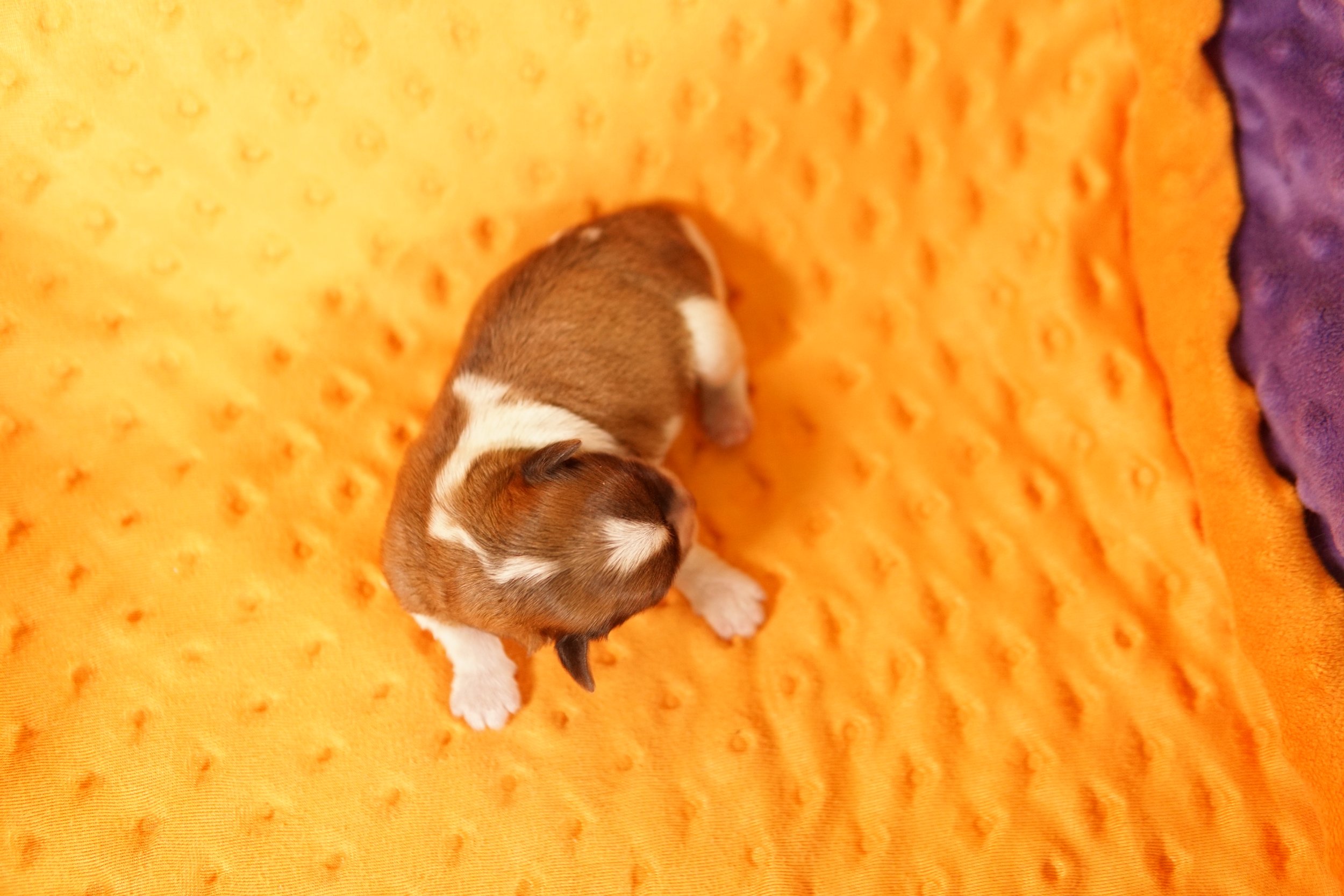 DSC08758.JPG