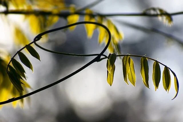 For Kate.
.
&quot;Take your broken heart. Make it into art.&quot; -- Carrie Fisher