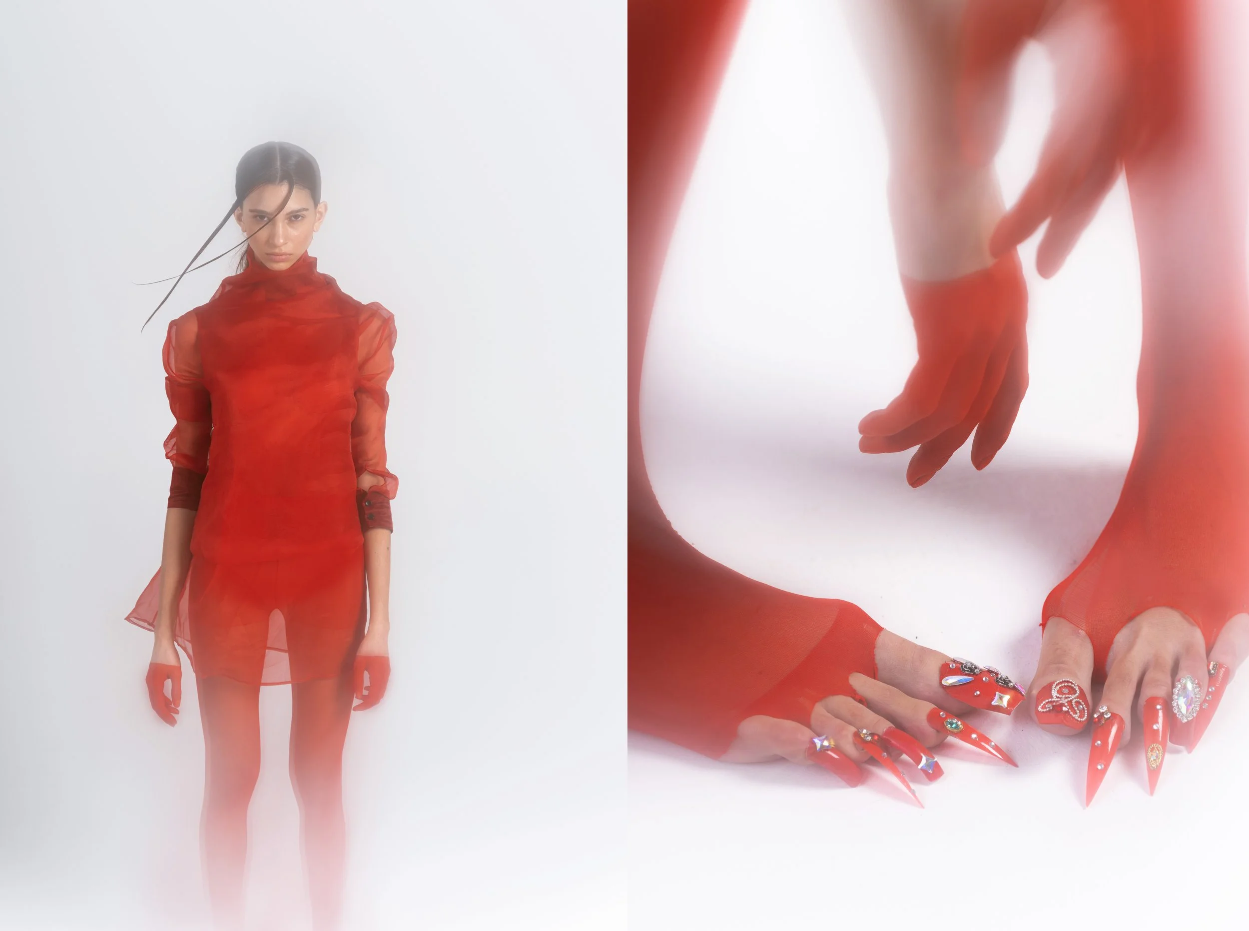 Aurea_rojo-6.jpg